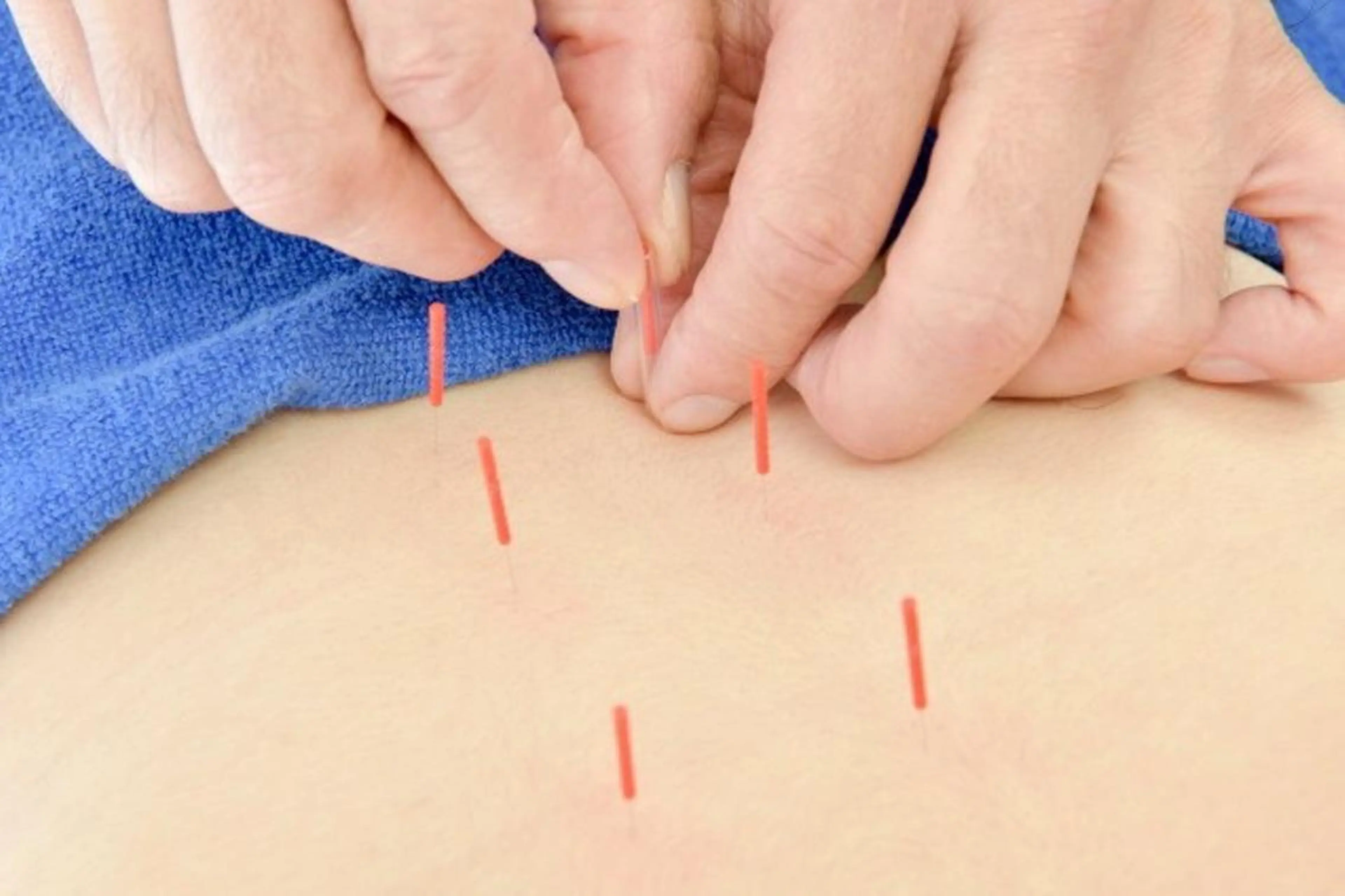 セントラル鍼灸院 Re:laxyのヘアスタイル