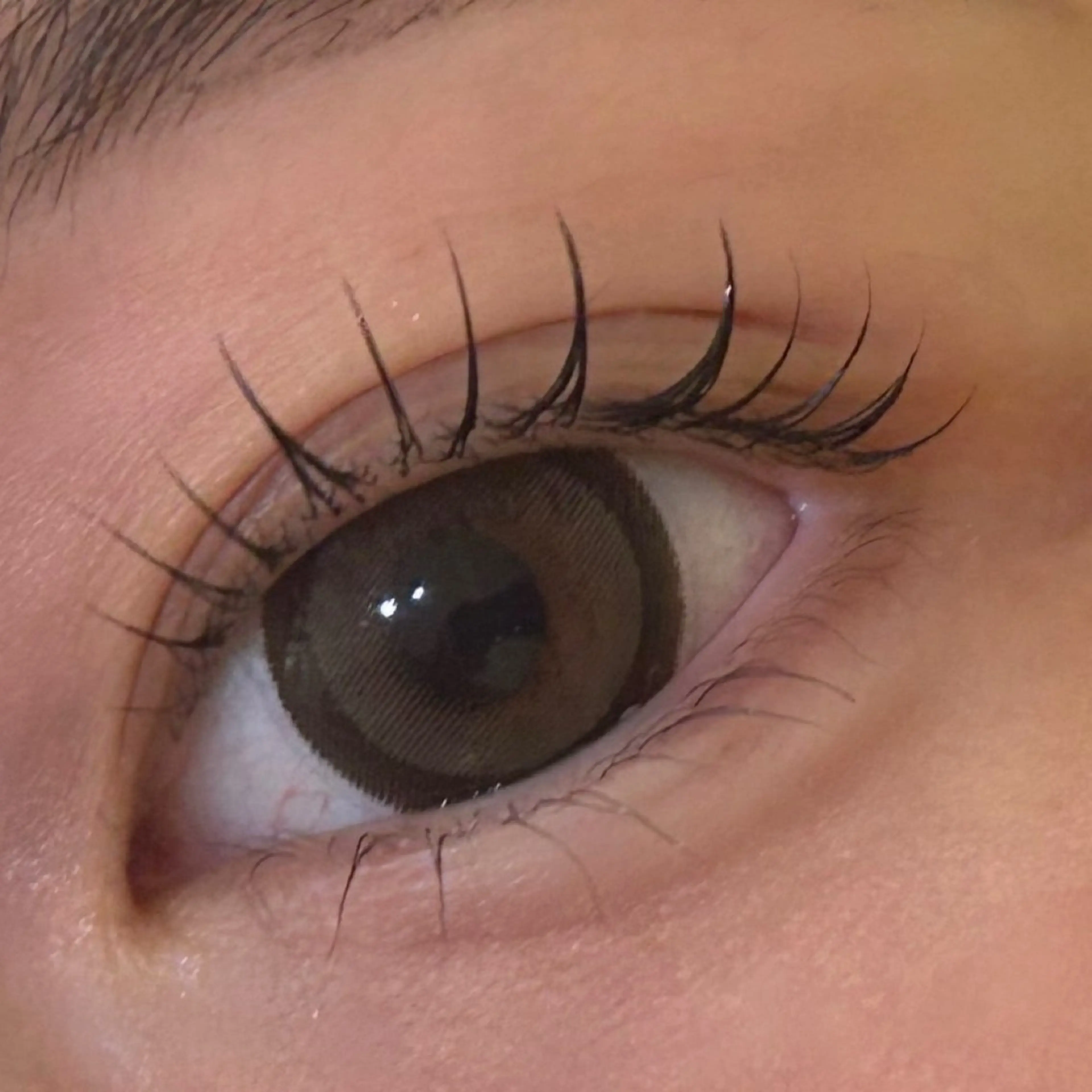 マツエク・マツパ 束感まつ毛 一重×まつ毛パーマ ボウ🪞ヘアセット /マツパ/眉毛のマツエク・マツパデザイン