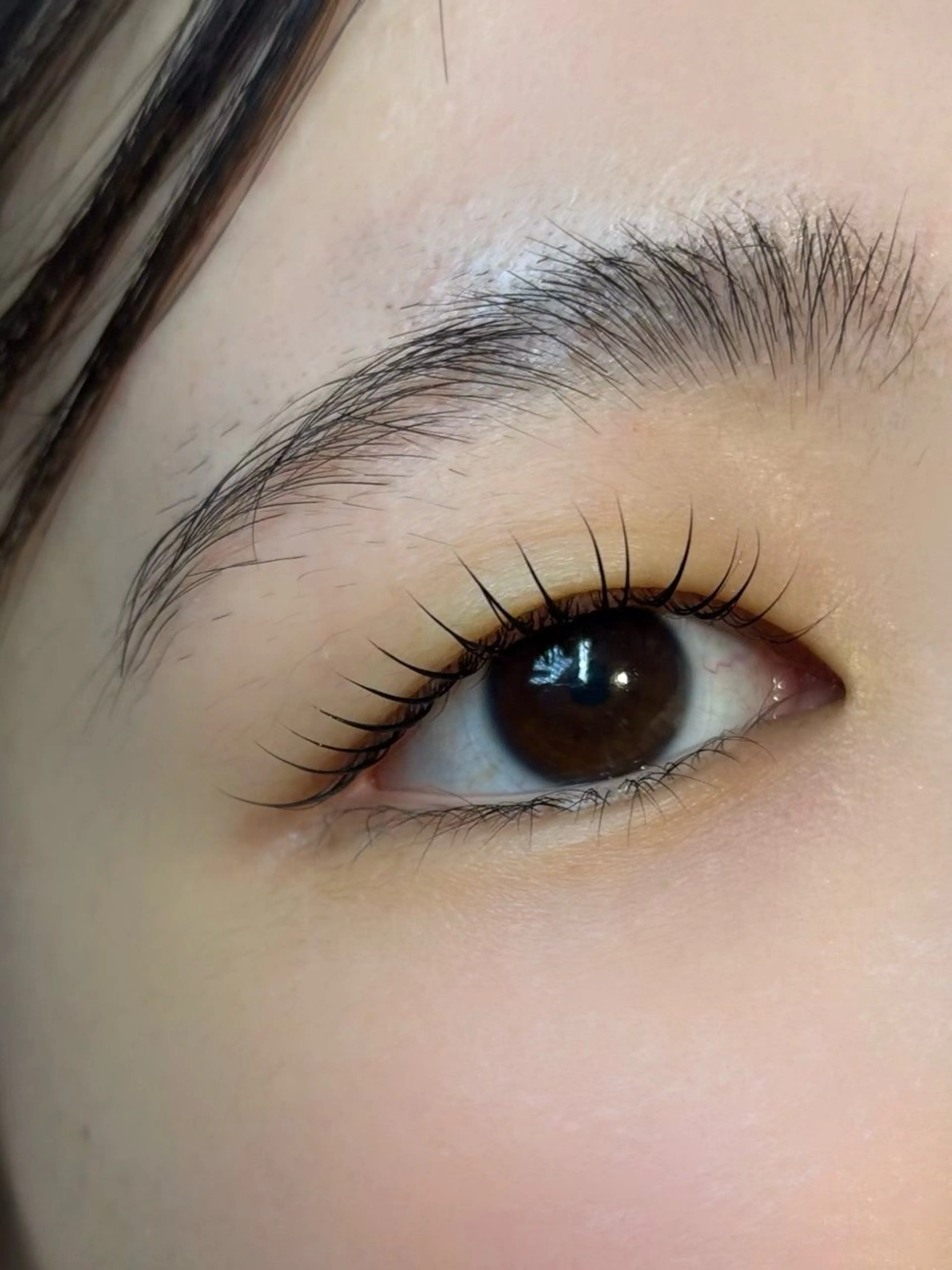 マツエク・マツパ 一重×まつ毛パーマ op_l メイの眉毛・アイブロウイメージ