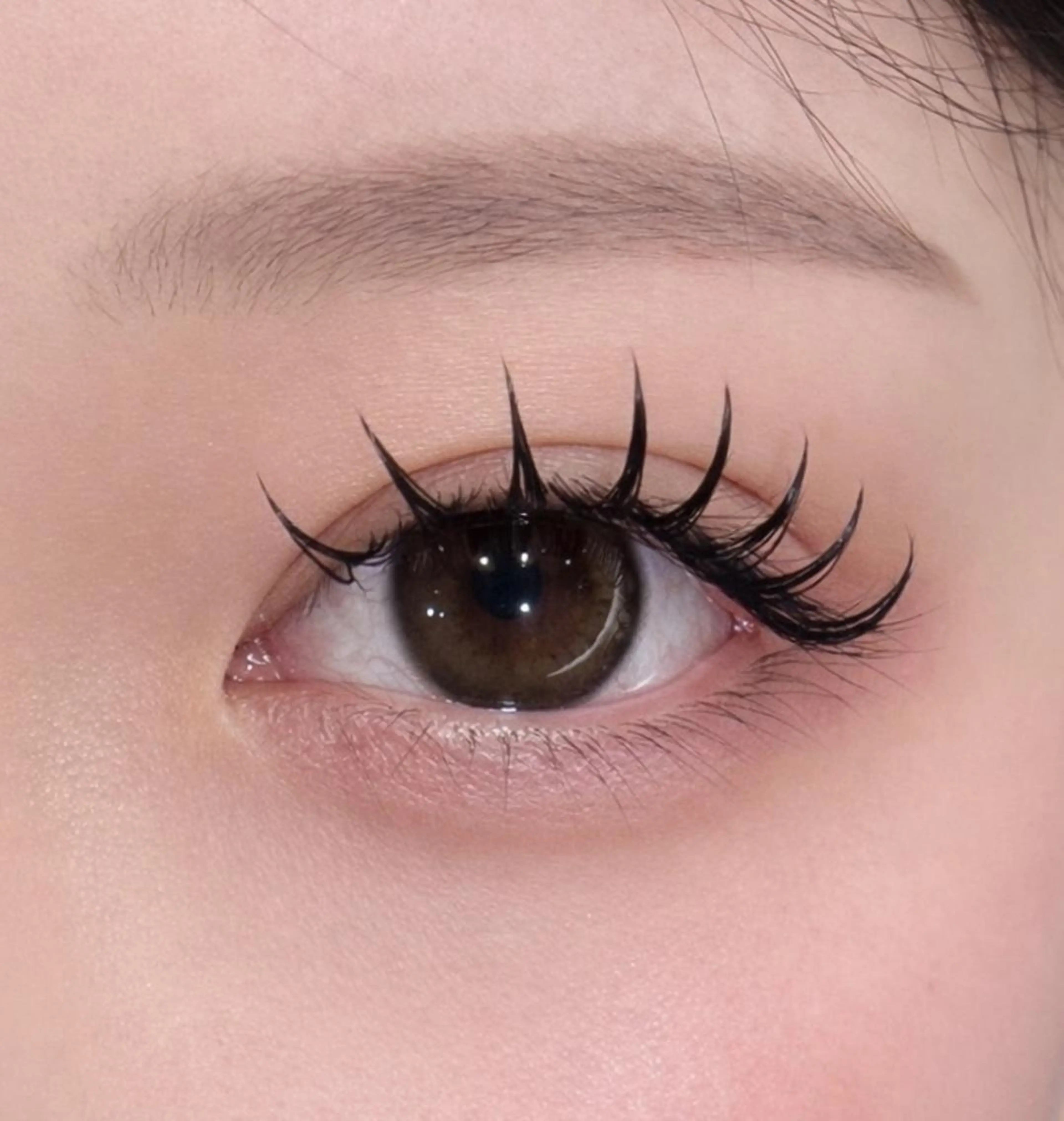 マツエク・マツパ マツエク ROAR💠 hujiのマツエク・マツパデザイン