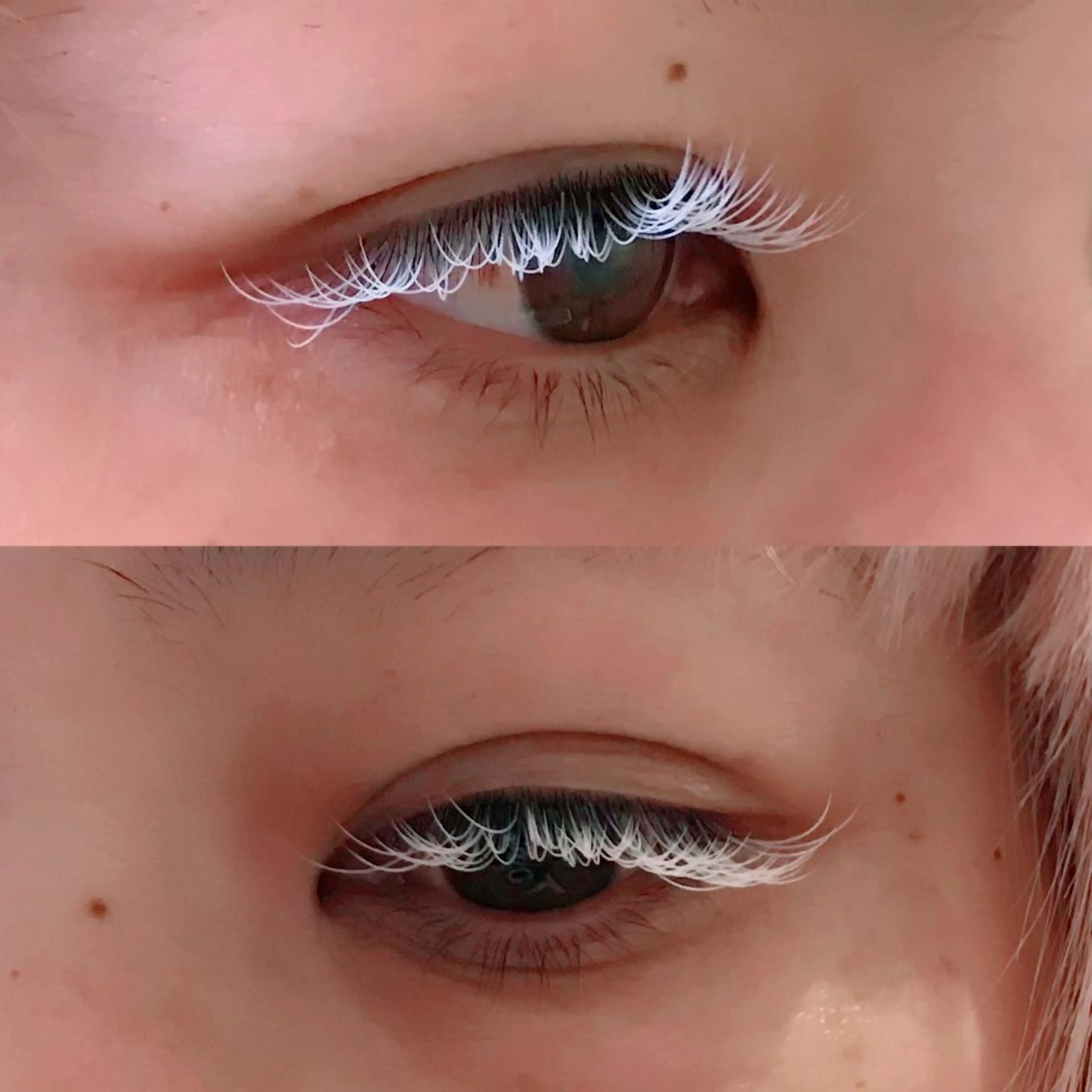 LEDホワイトシングルカラーエクステ100本 Cカール11mmのみ在庫限りの写真