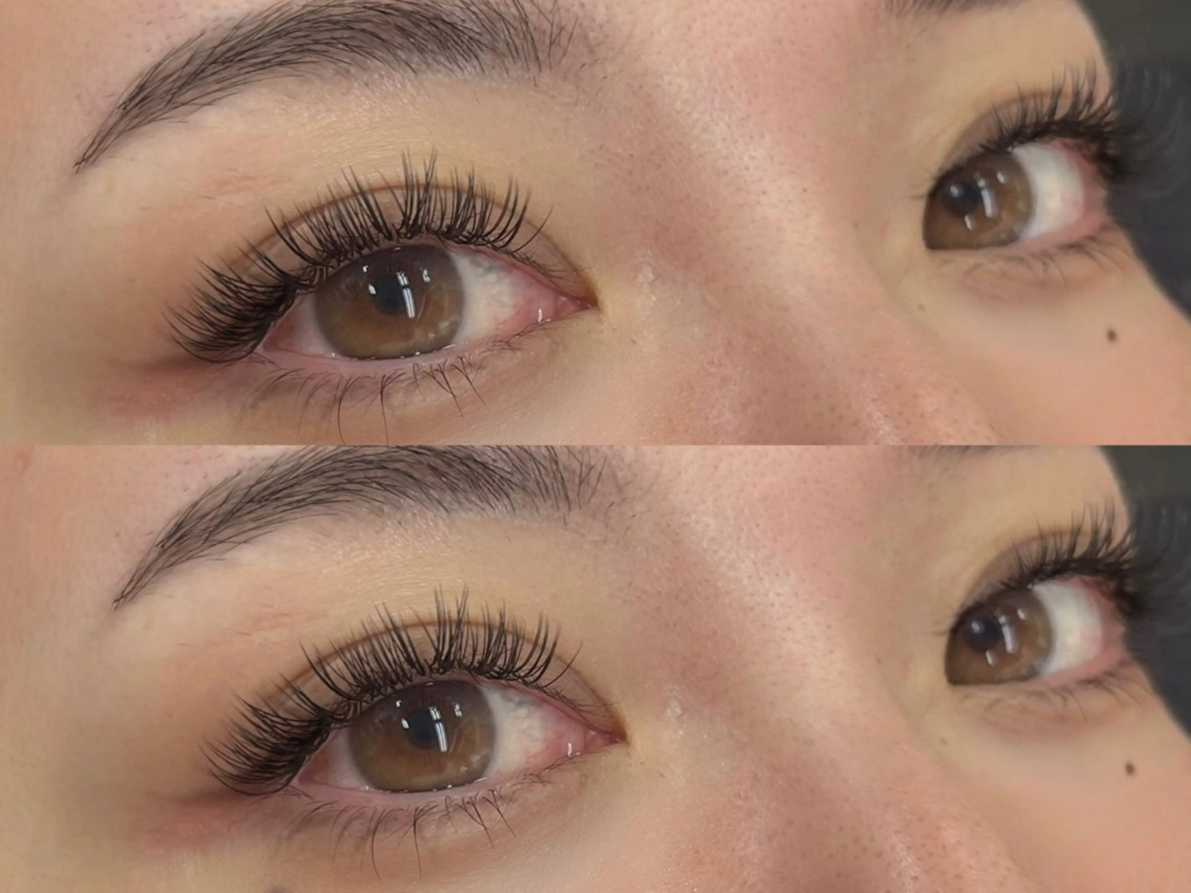 ダブルフラットラッシュ💚100束の写真