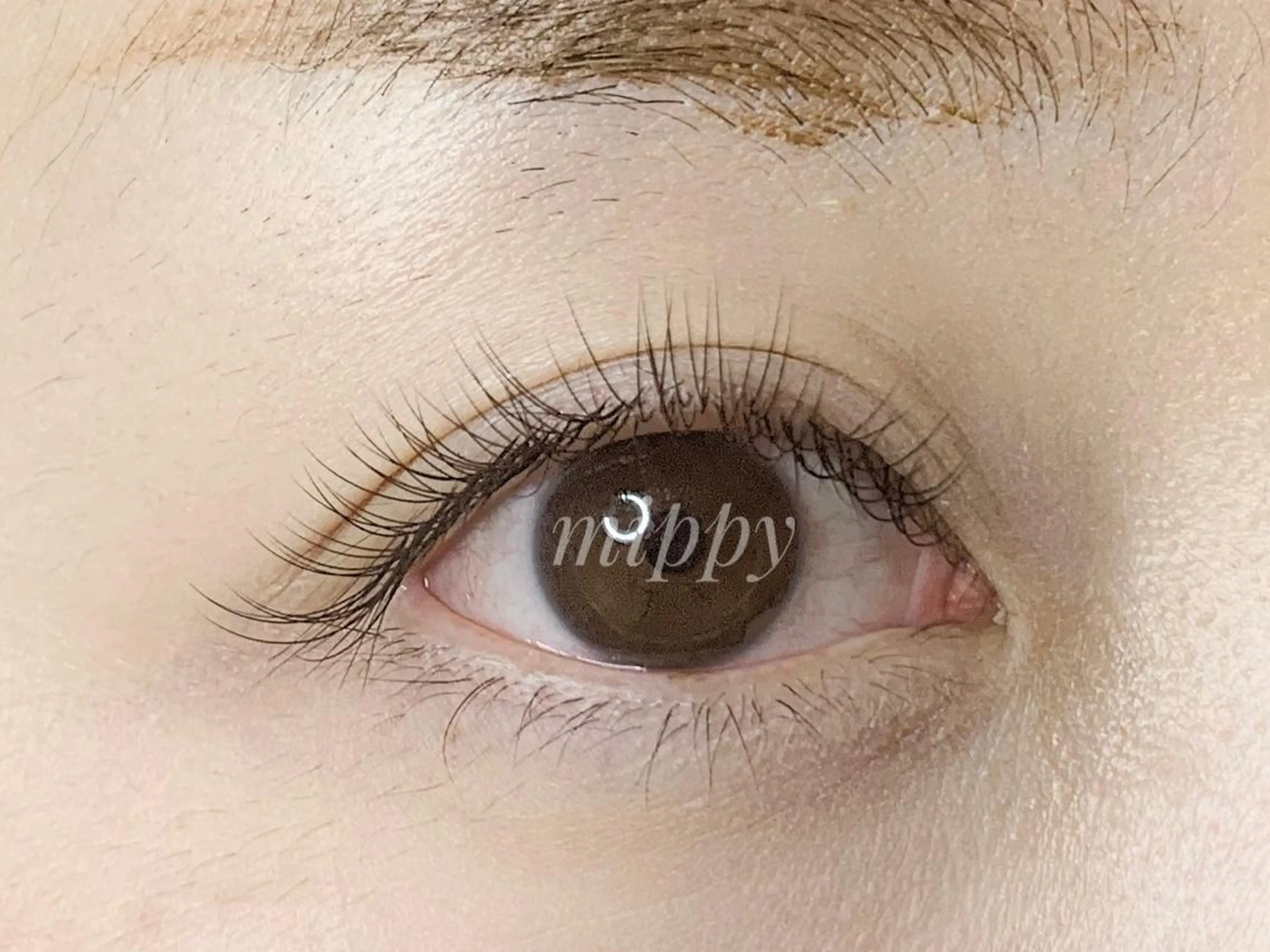 マツエク・マツパ ｍｉｐｐｙ 🪽のマツエク・マツパデザイン