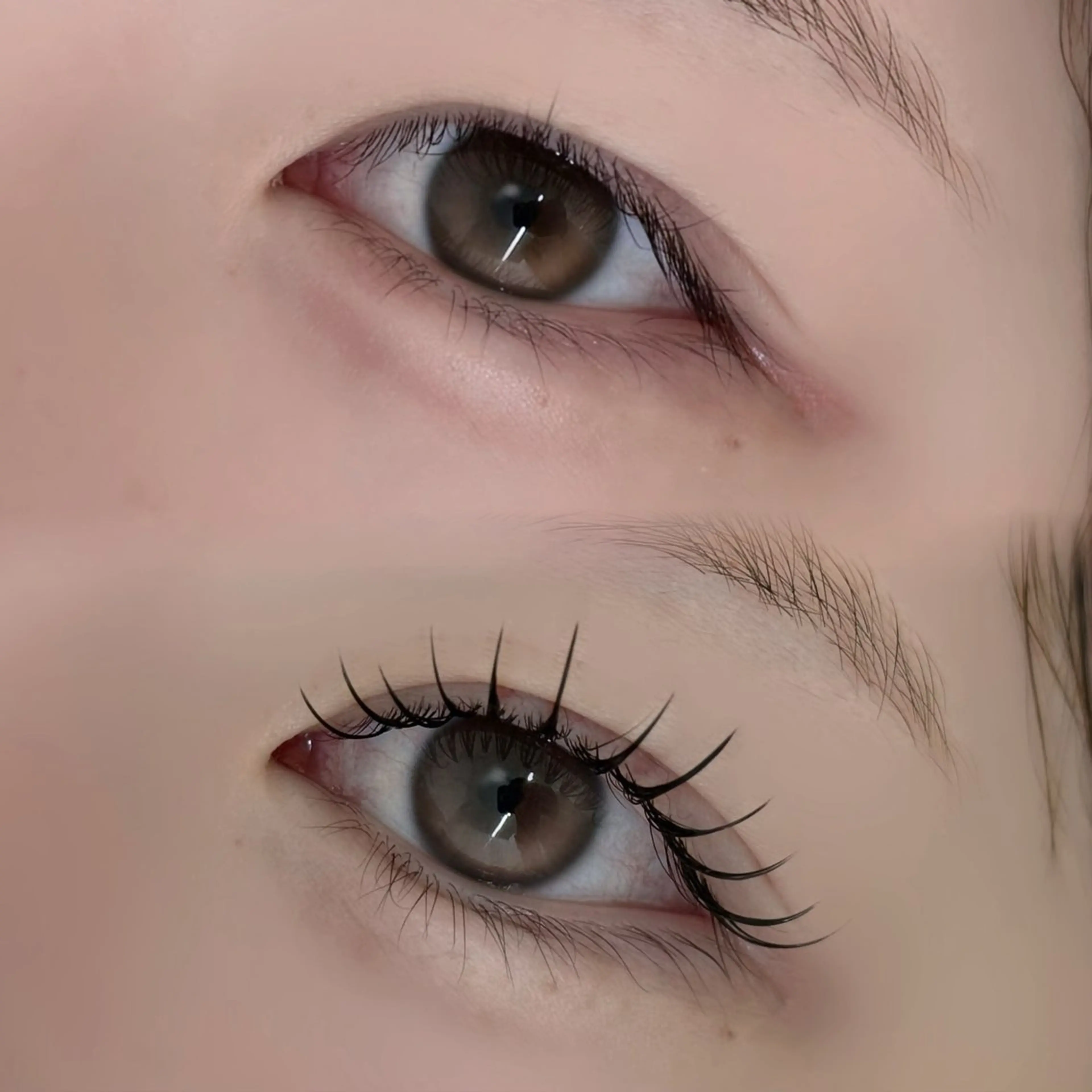 マツエク・マツパ tomteトムテ junmiのマツエク・マツパデザイン