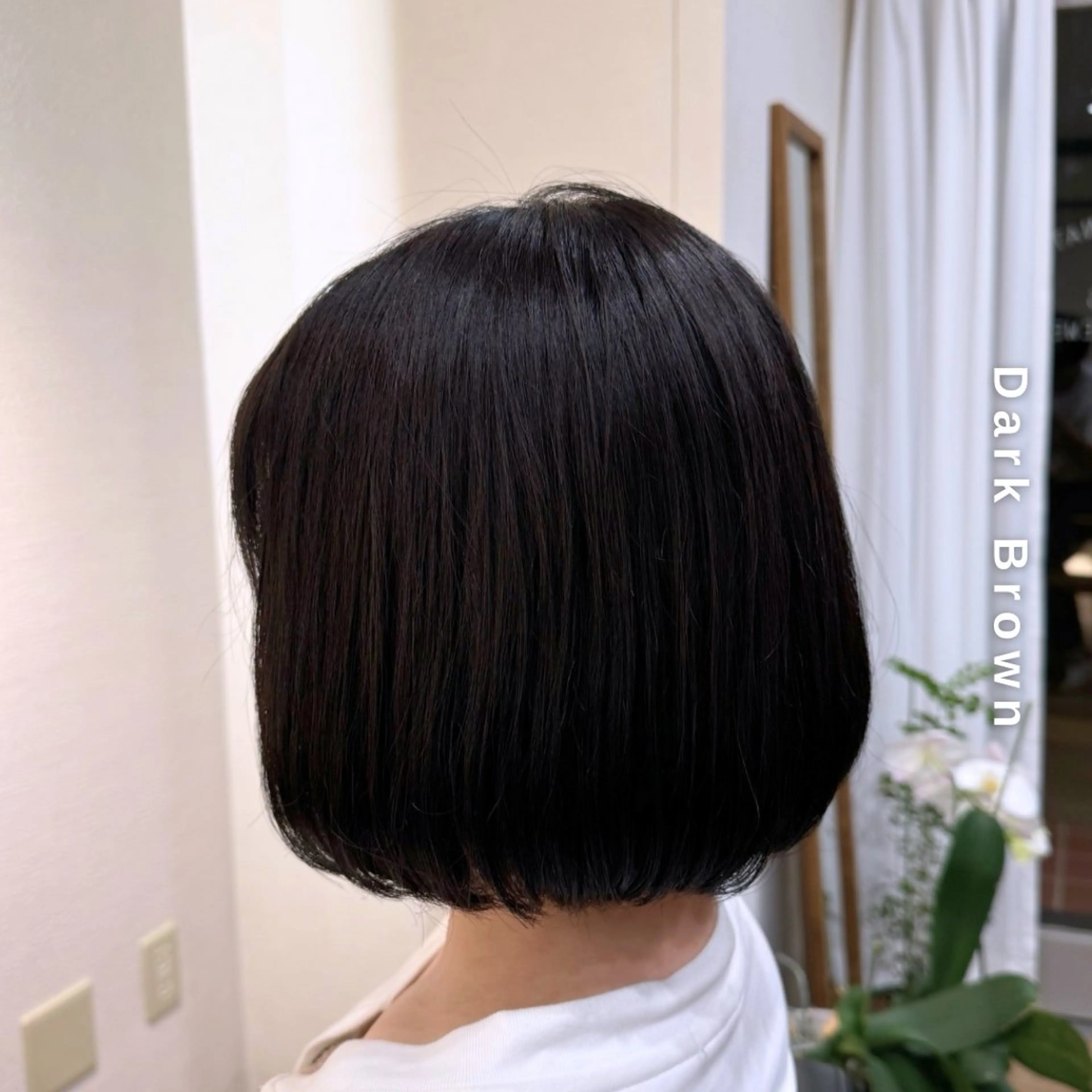 ショート カラー ブラウンカラー 透明感カラー ダークブラウン ヘアカラー トリートメント ヘアセット しんのすけ /モデルさん募集中のヘアスタイル