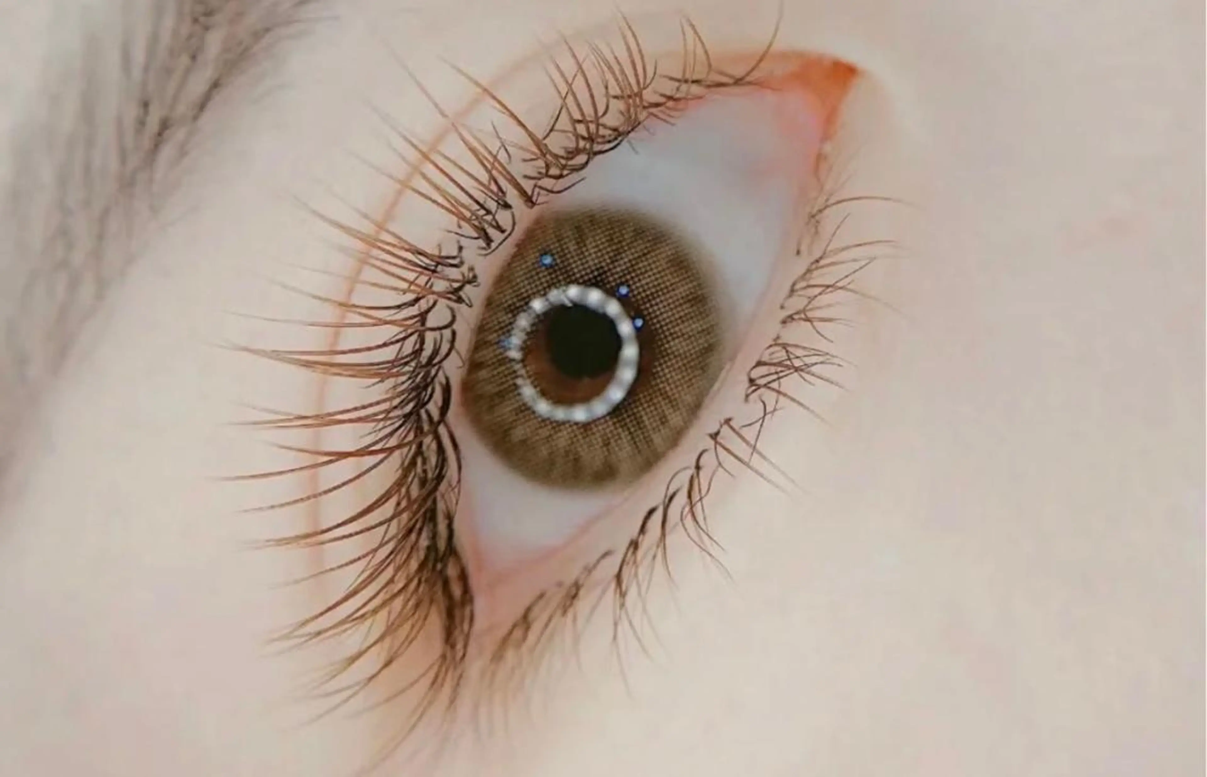 マツエク・マツパ カラーマツエク フラットラッシュ Arana池袋 Ayumi🦋のマツエク・マツパデザイン