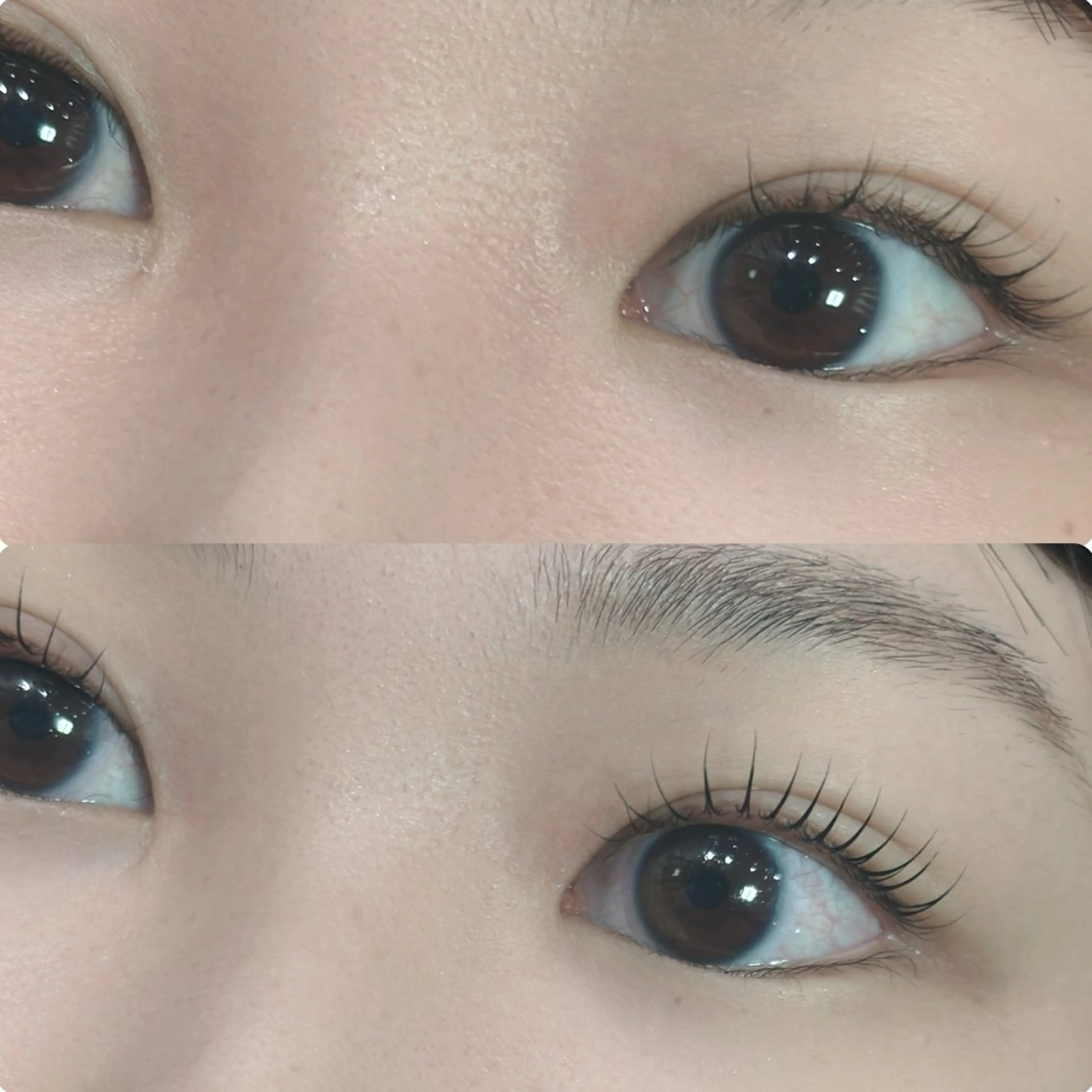 マツエク・マツパ マツパ hikari 🌻*.ﾟのマツエク・マツパデザイン