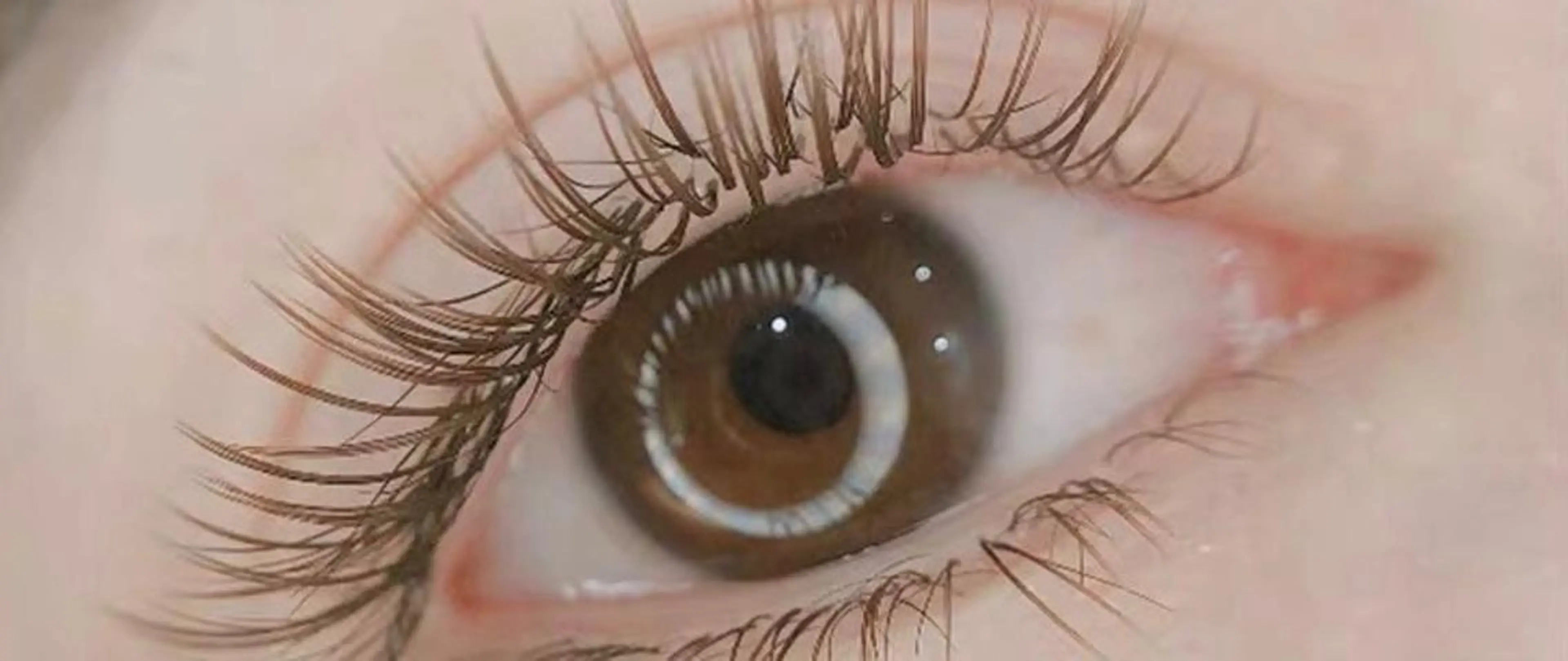 【新規】ボリュームラッシュ240本(80束) (両目) オフ込み (ブラウン+1000円)の写真