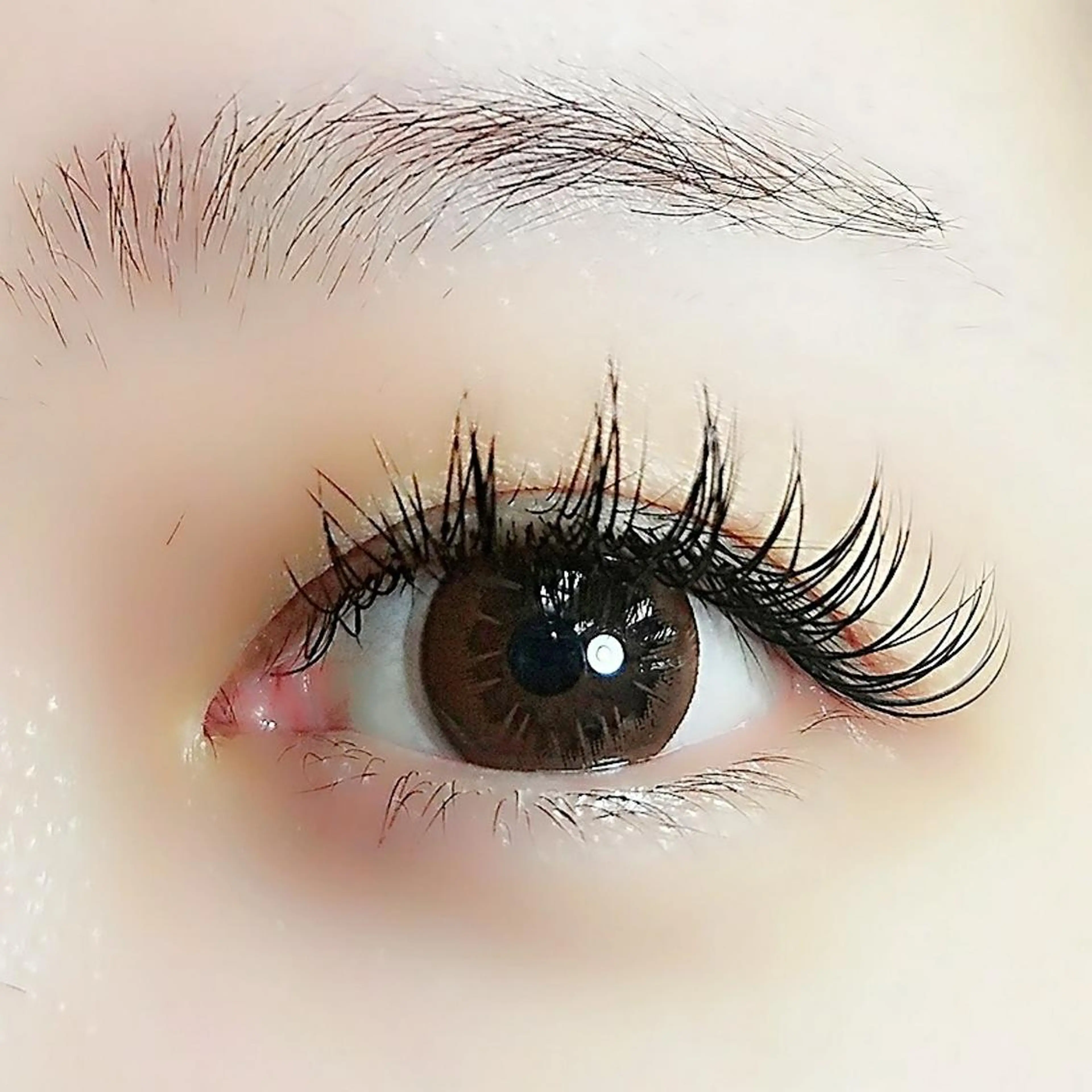 マツエク・マツパ CCカール Cカール キュート ナチュラル セーブル hair& beauty BRYのマツエク・マツパデザイン