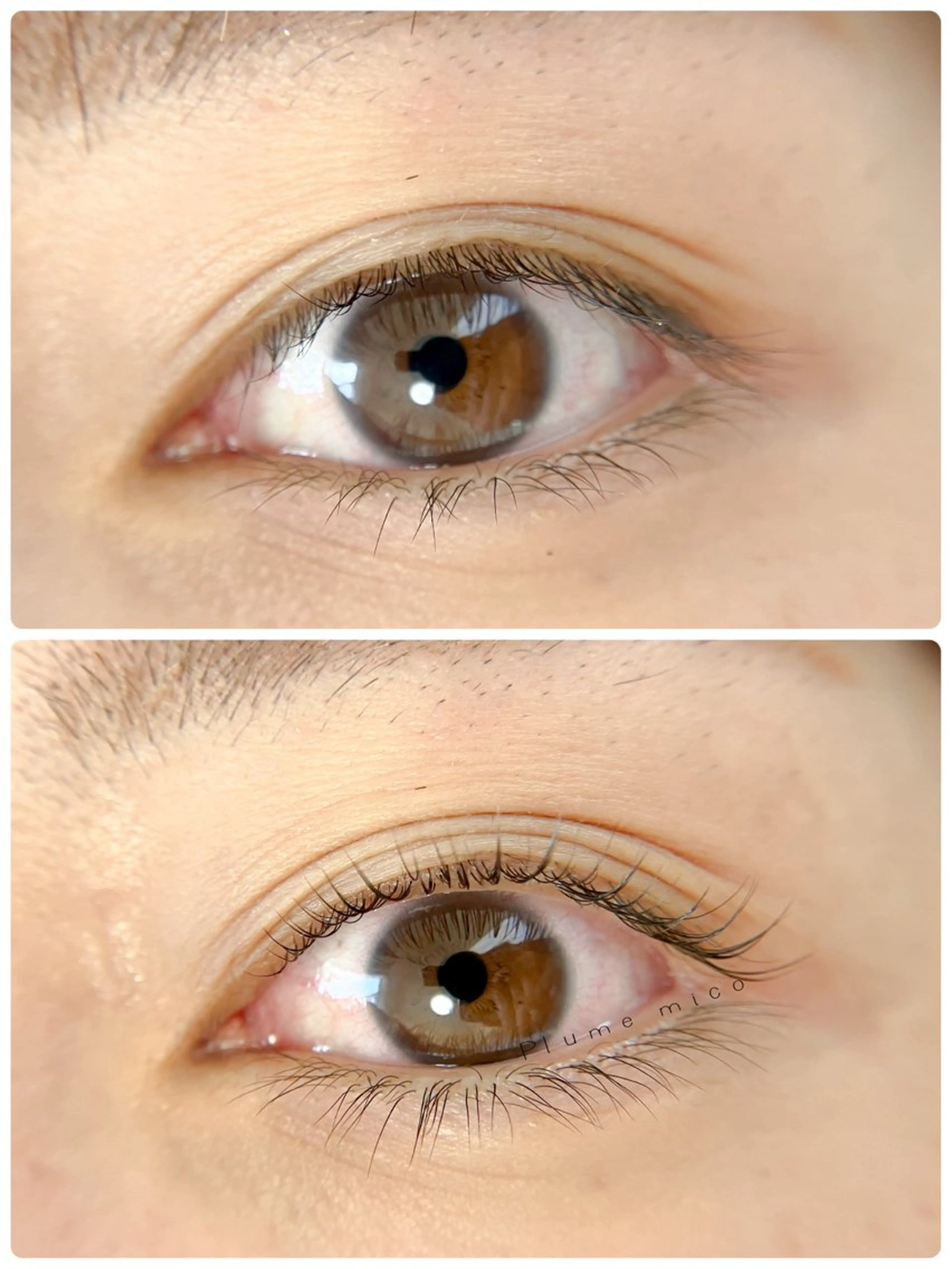 マツエク・マツパ マツパ Plume micoのマツエク・マツパデザイン