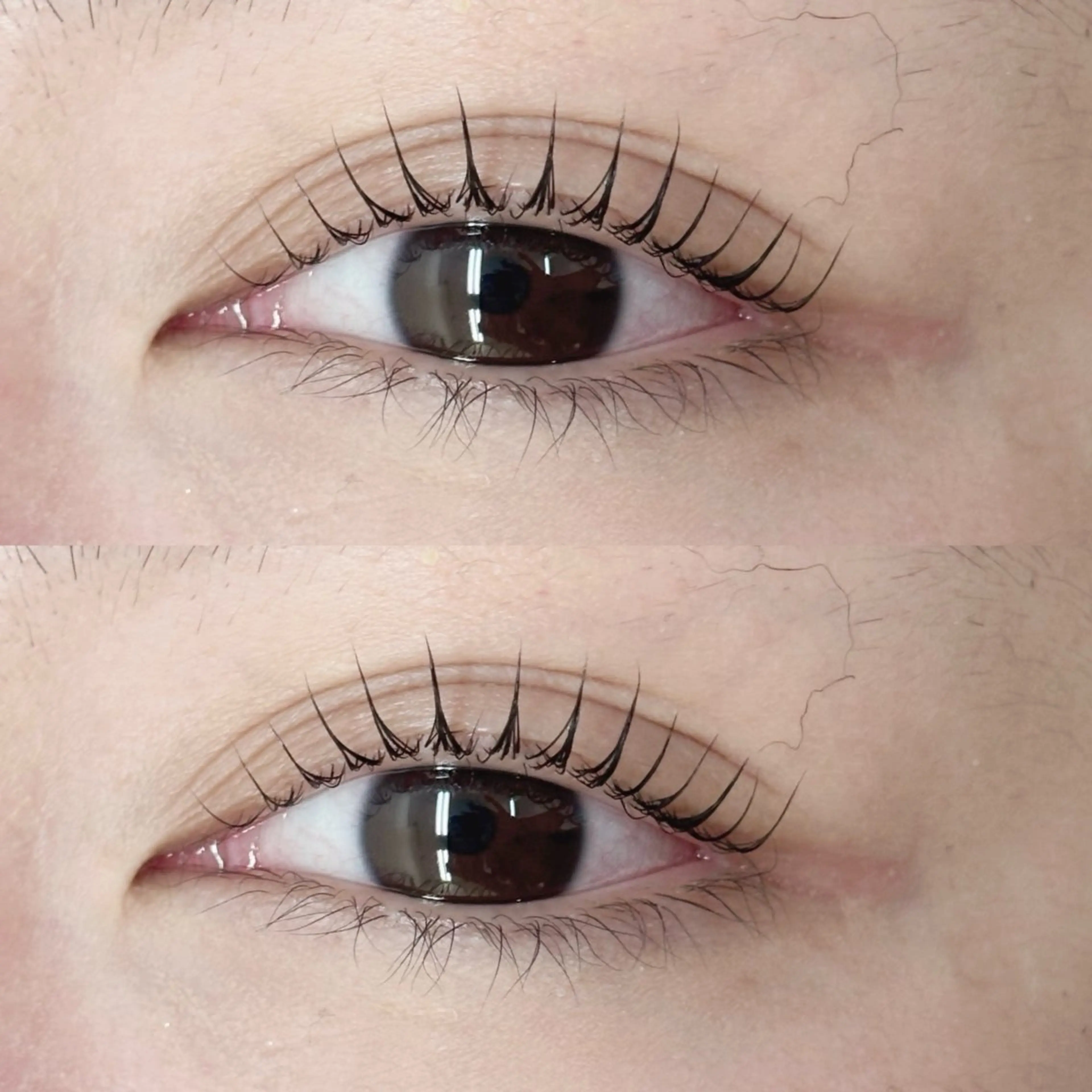 マツエク・マツパ 塚田 優花のマツエク・マツパデザイン