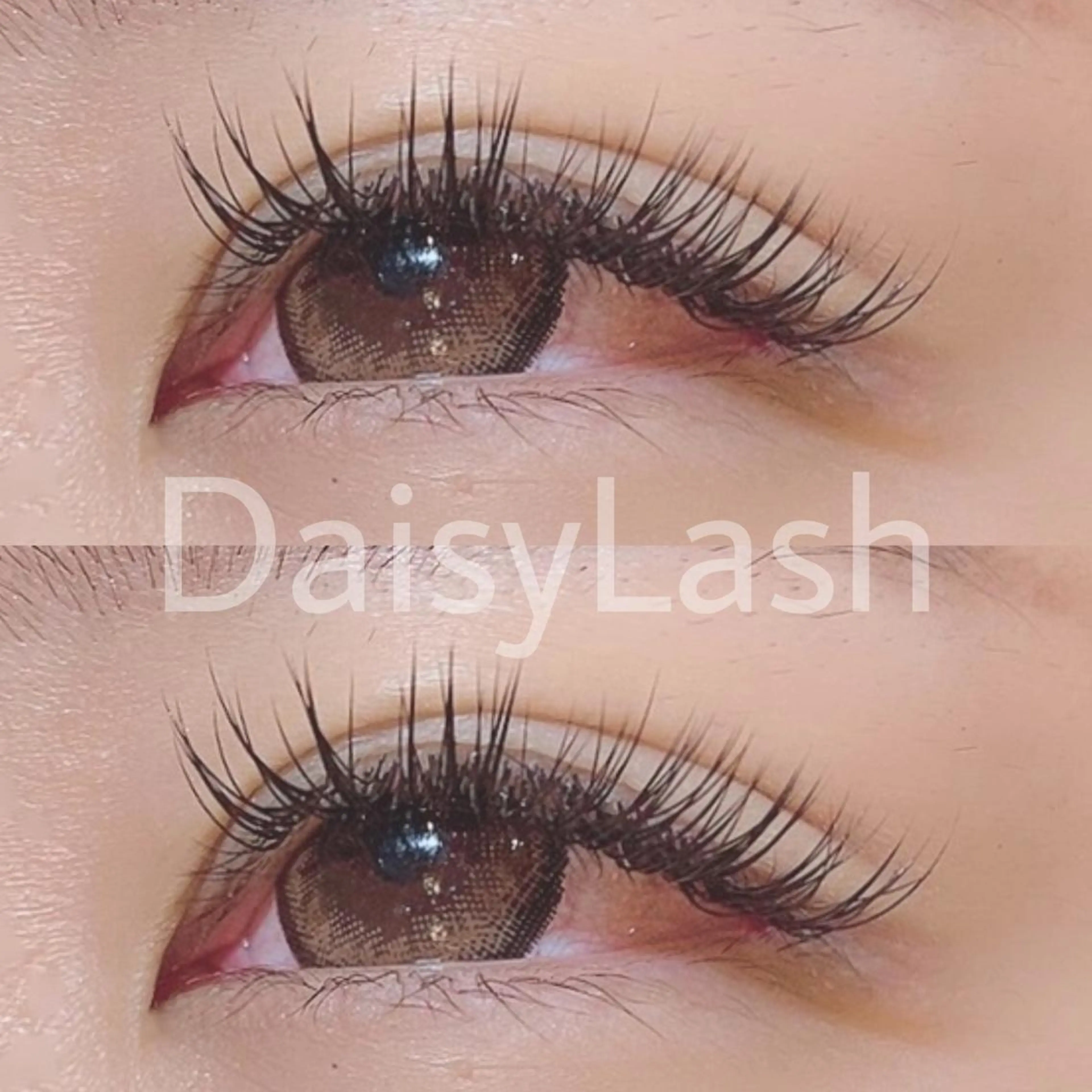 マツエク・マツパ DaisyLash 京橋店のマツエク・マツパデザイン