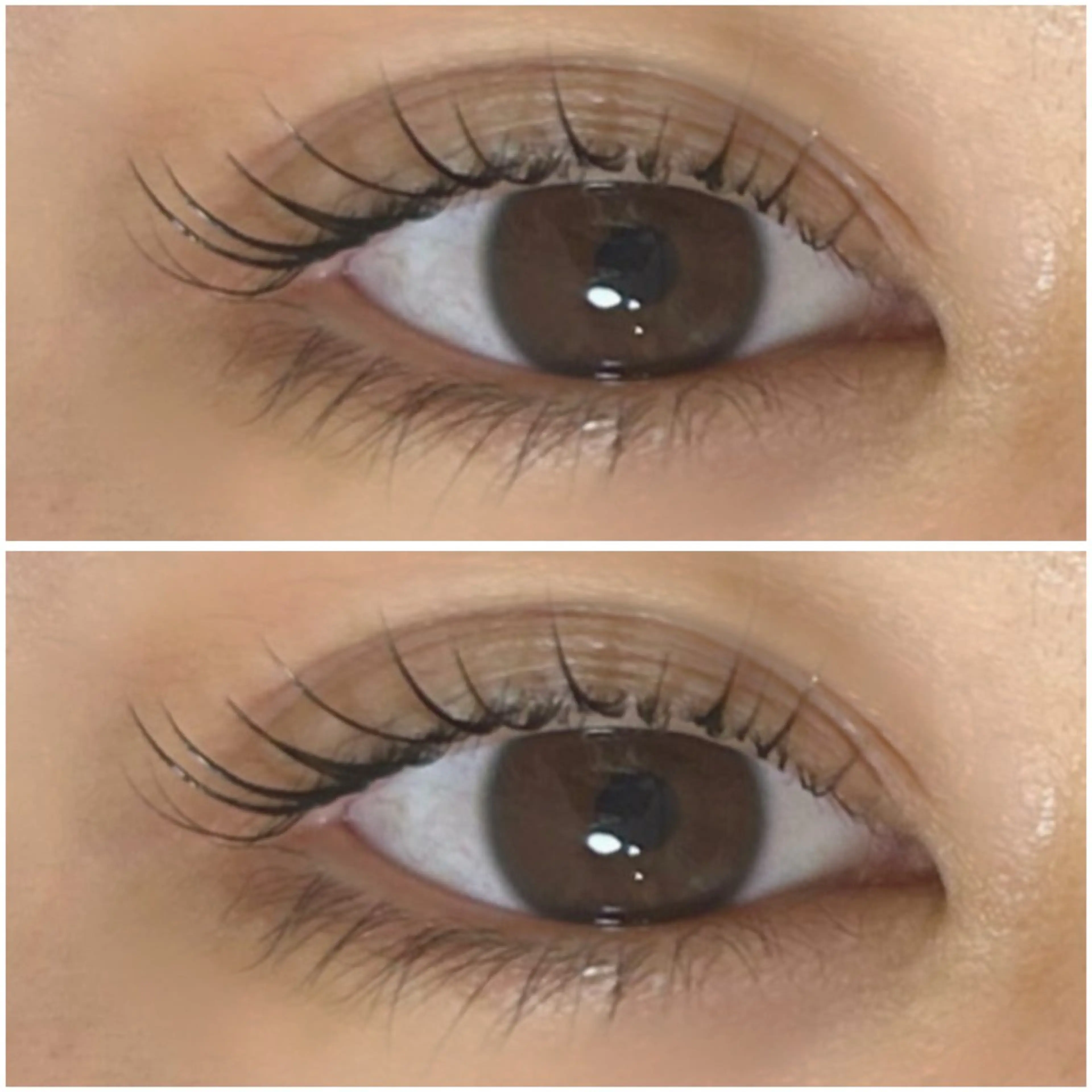 ラッシュリフト💜Uカールロッド限定💜リピーター様＋550土日＋550の写真