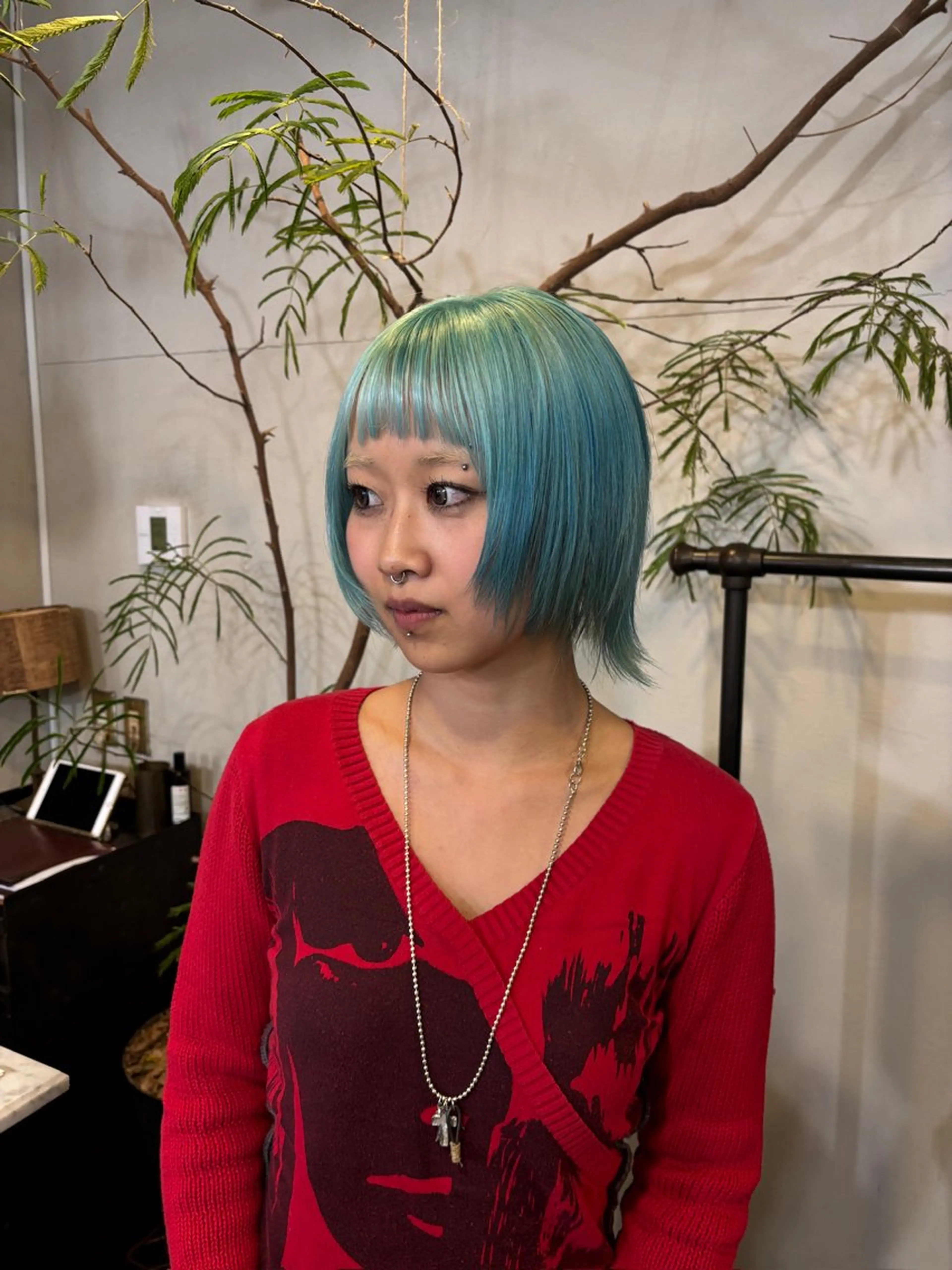 ブリーチリタッチの写真