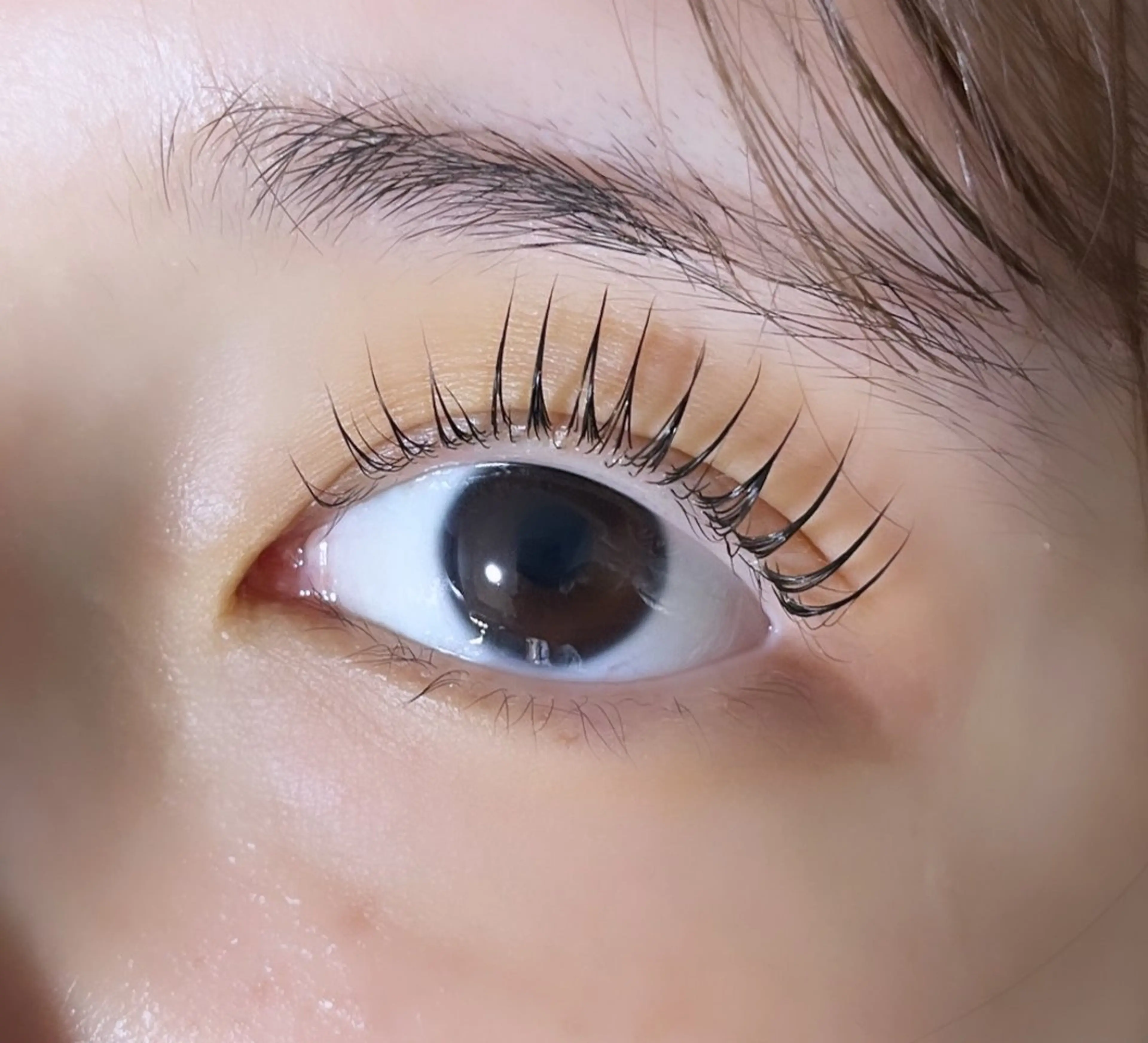 マツエク・マツパ パリジェンヌラッシュリフト WHITE EYE 西宮北口 田村のマツエク・マツパデザイン