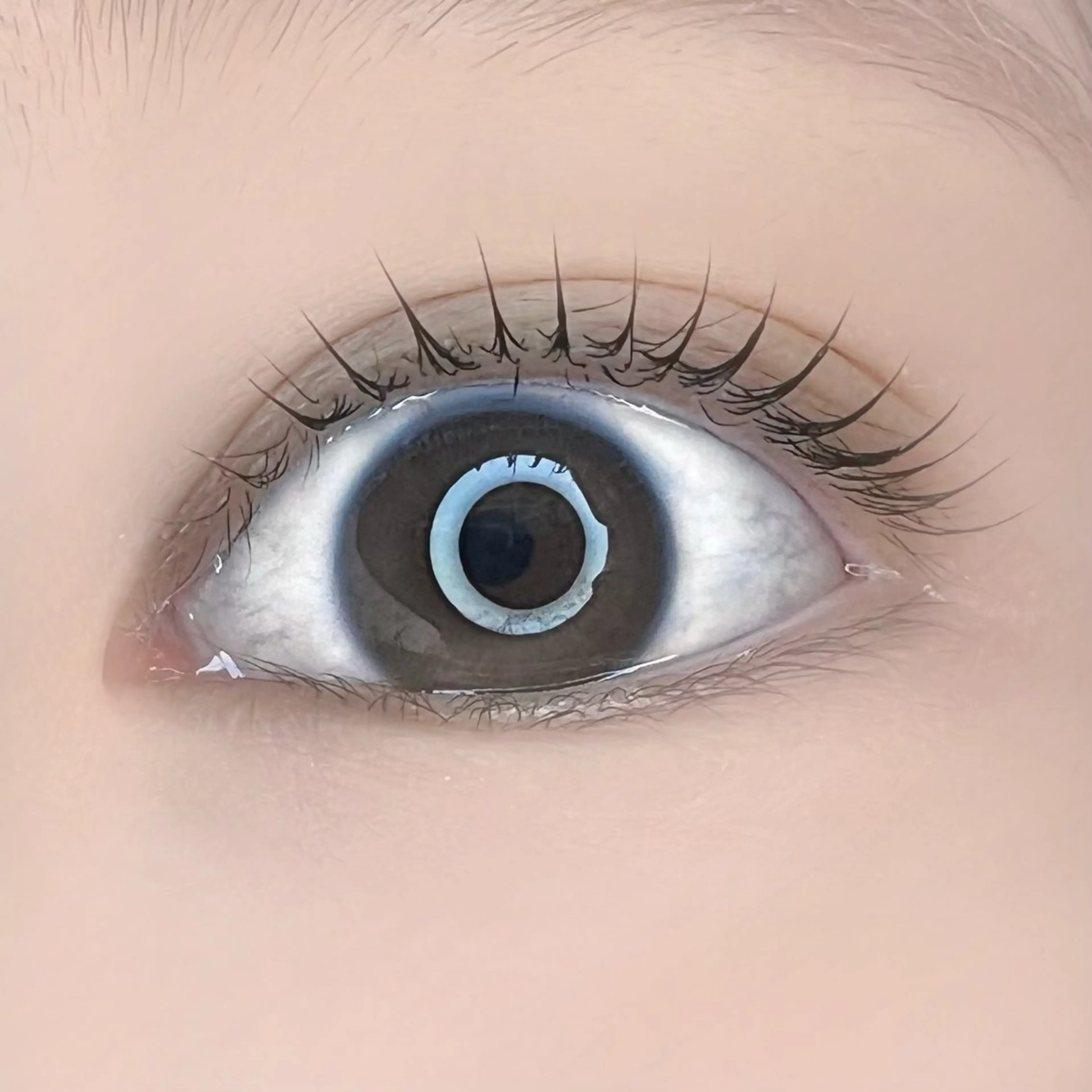 マツエク・マツパ 垢抜け眉WAX専門 ちゅるんまつげ|鎌倉の眉毛・アイブロウイメージ