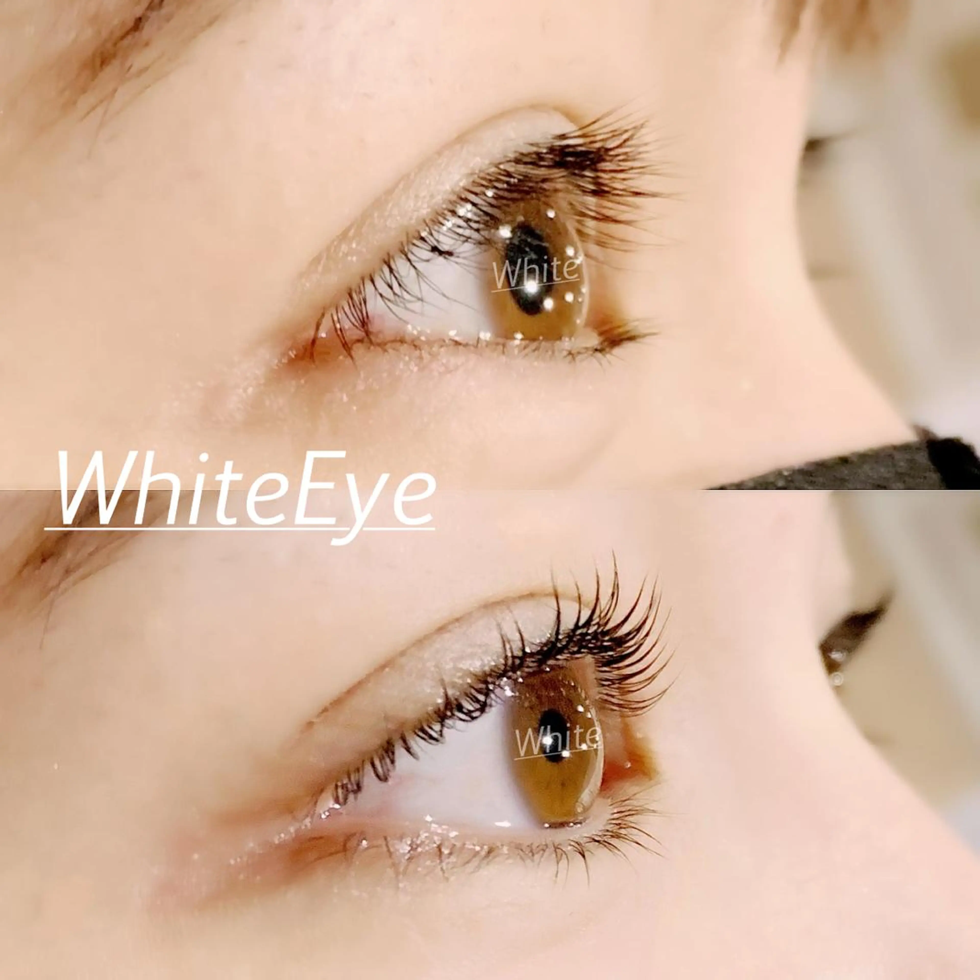 マツエク・マツパ ホワイトアイ HIKARUの眉毛・アイブロウイメージ