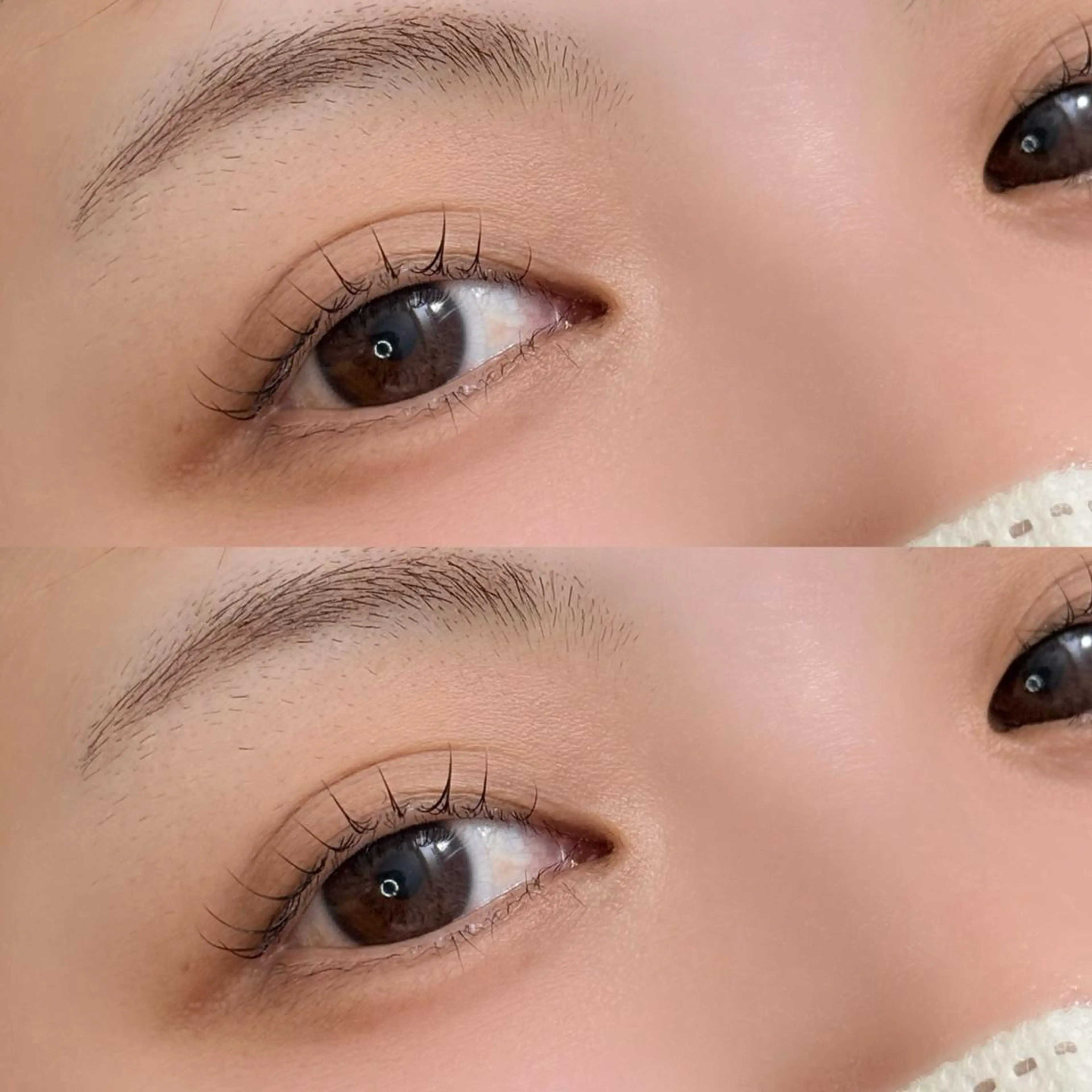 【土日割❤️‍🔥口コミ割】韓国風束感✨まつ毛パーマor目元ぱっちりパリジェンヌラッシュリフトの写真