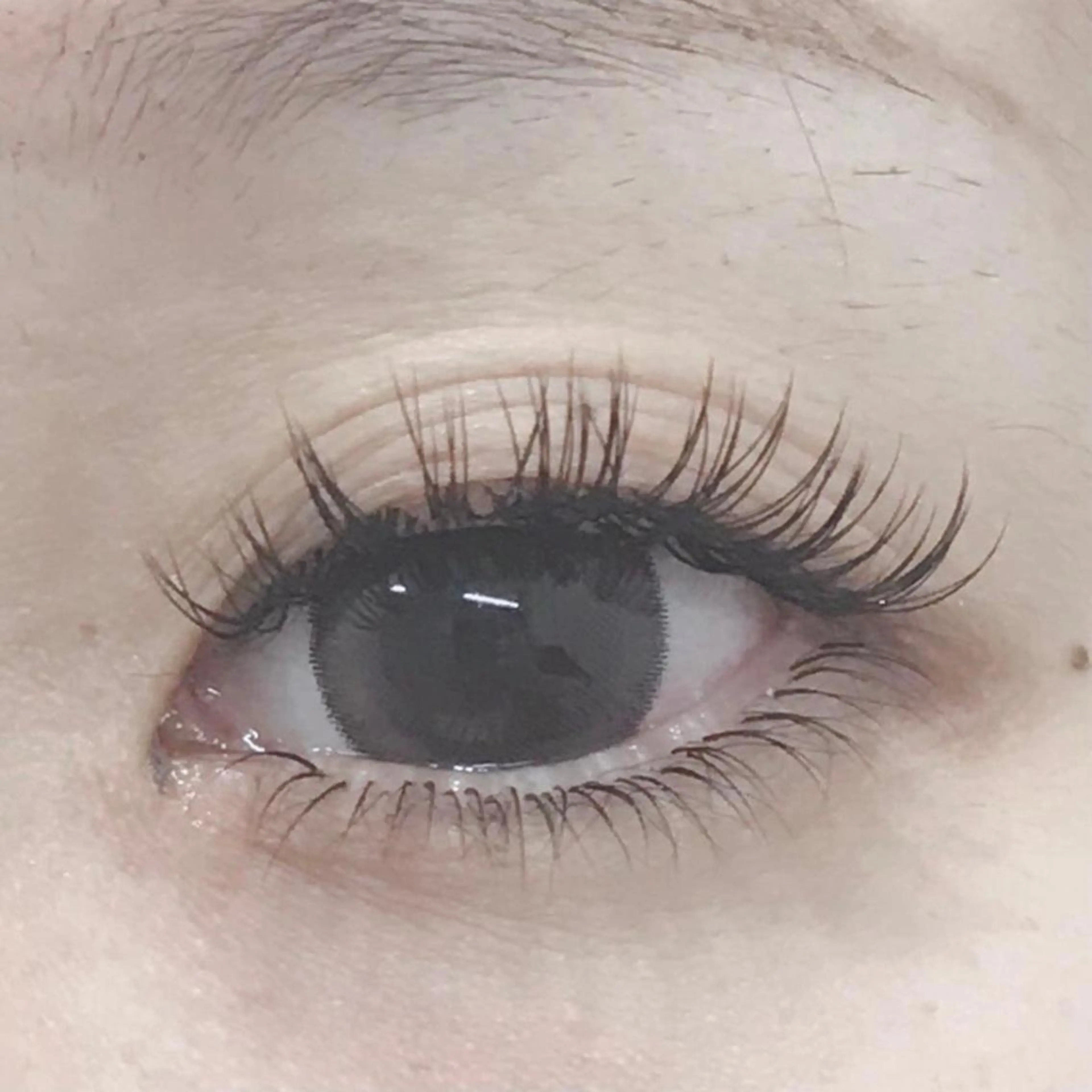 マツエク・マツパ メンズ専門🎀 Hanahiの眉毛・アイブロウイメージ