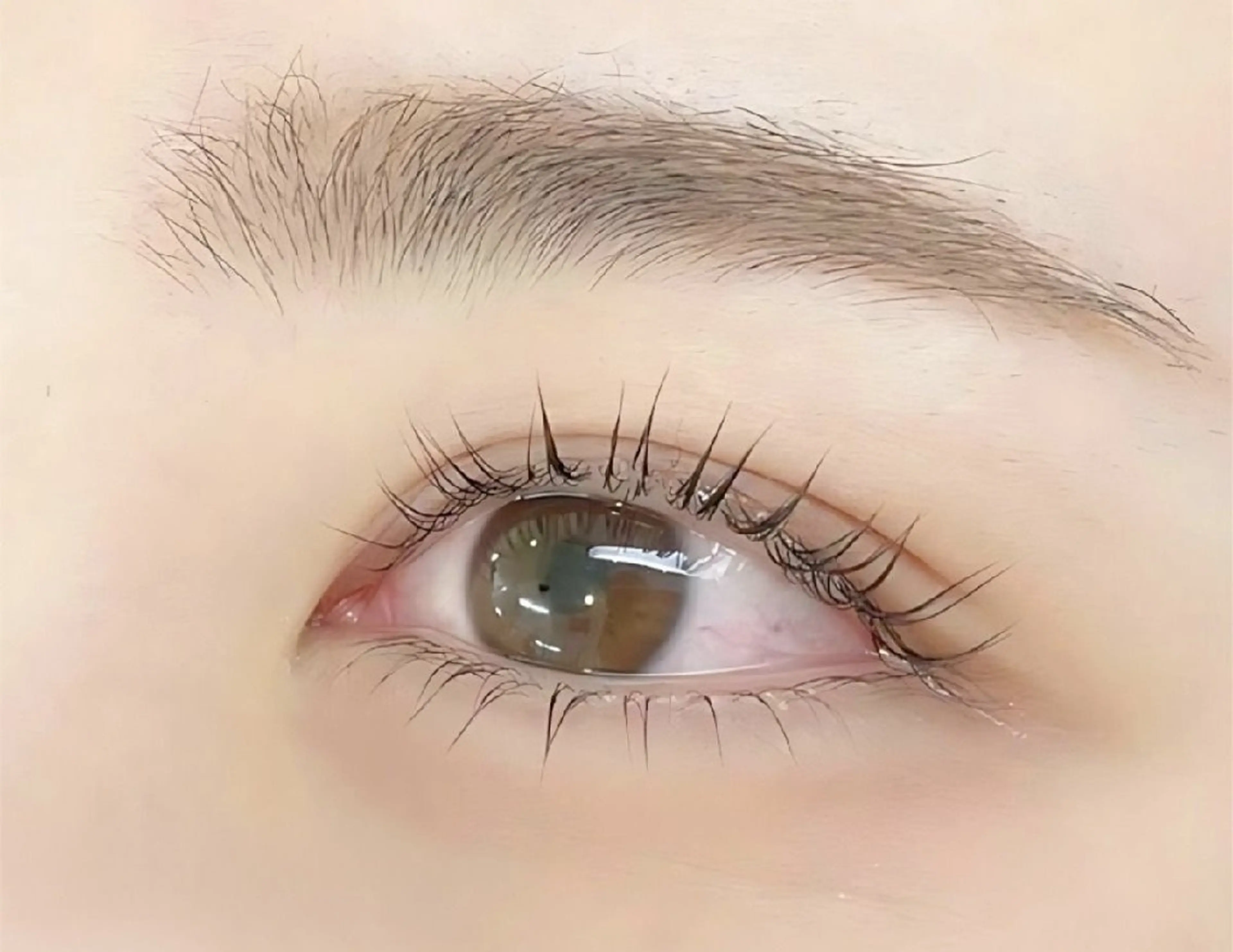 【ミニモ学割】ケラチンまつげパーマの写真