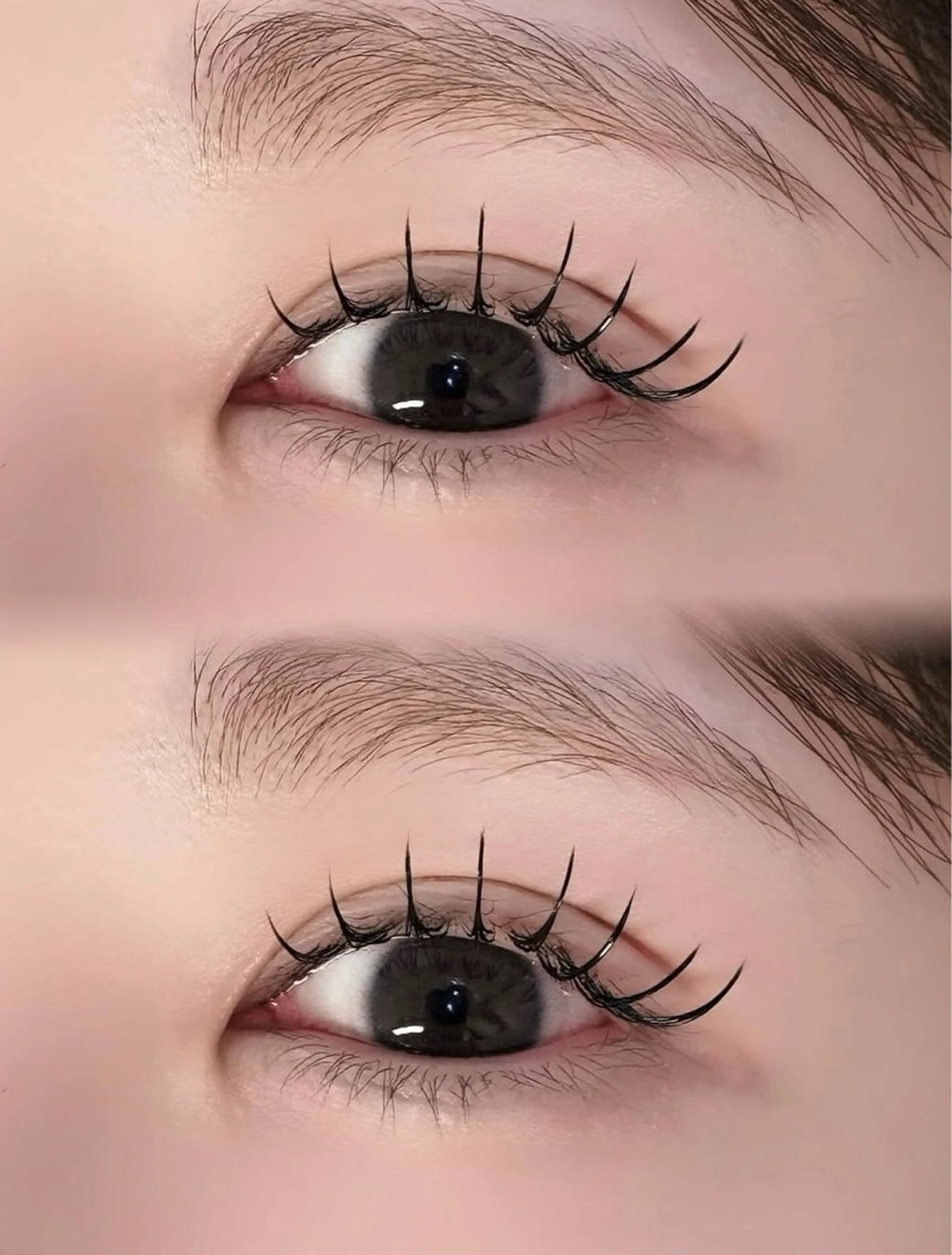 フラットラッシュ80本の写真