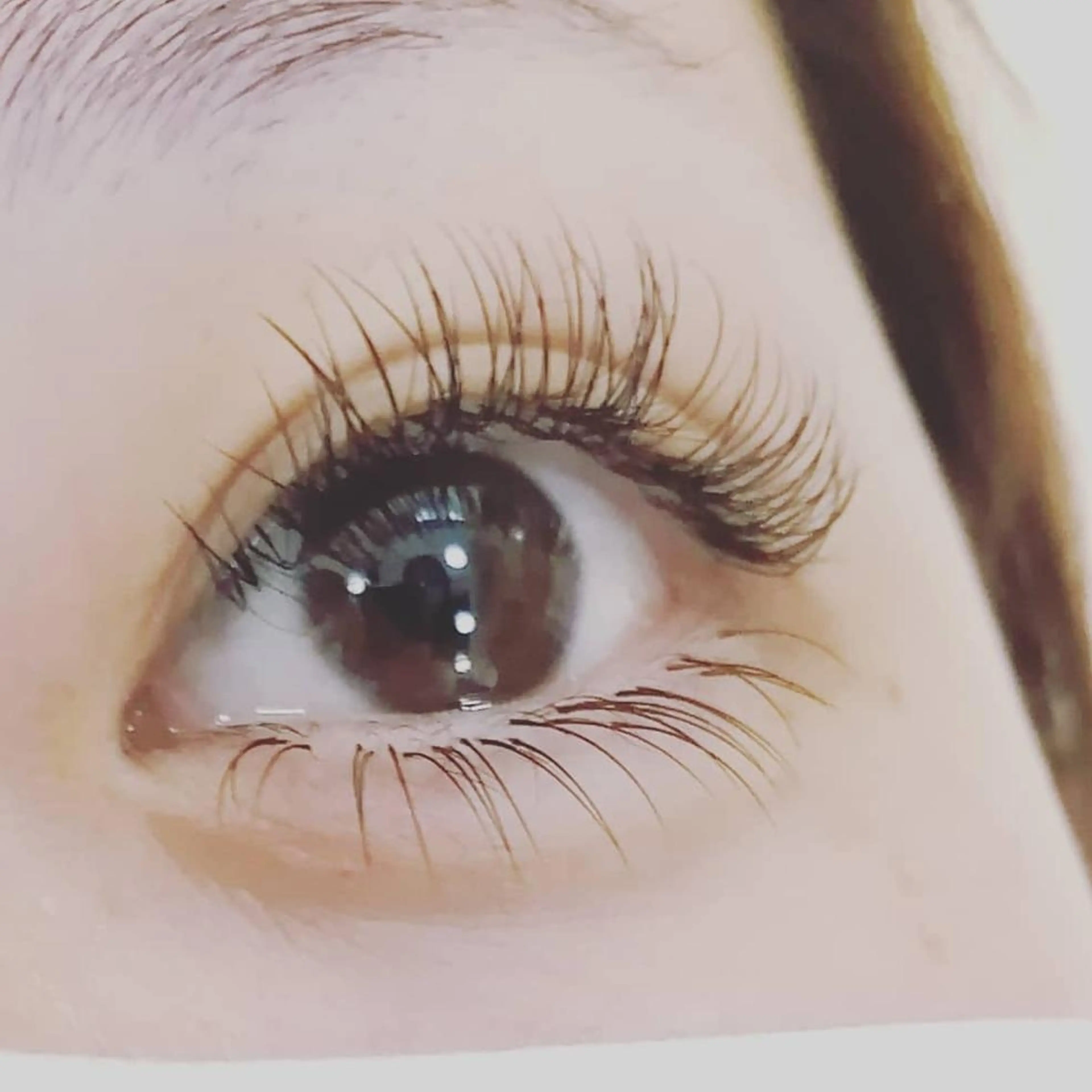 マツエク・マツパ eyelash Amourのマツエク・マツパデザイン