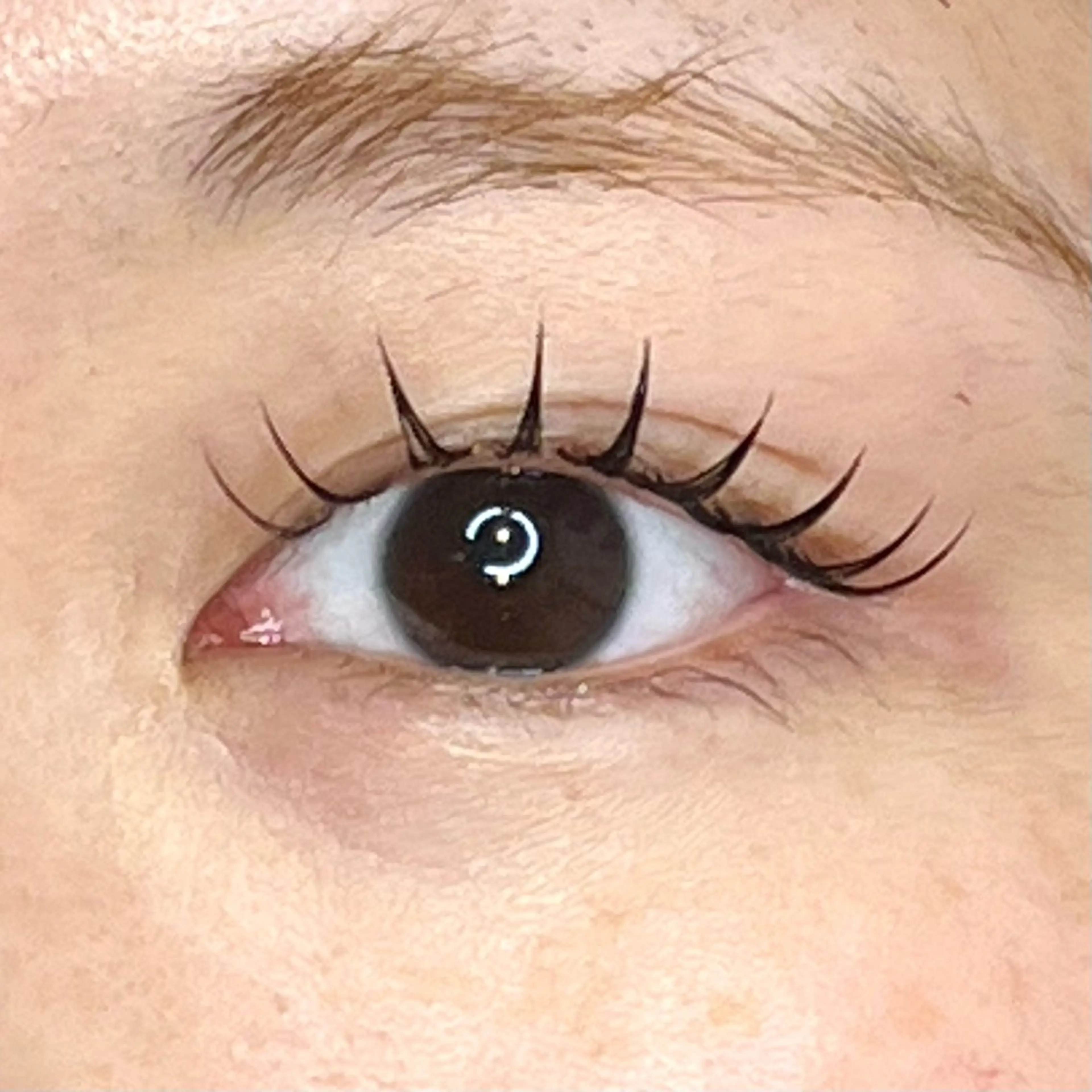 マツエク・マツパ narumi .のマツエク・マツパデザイン