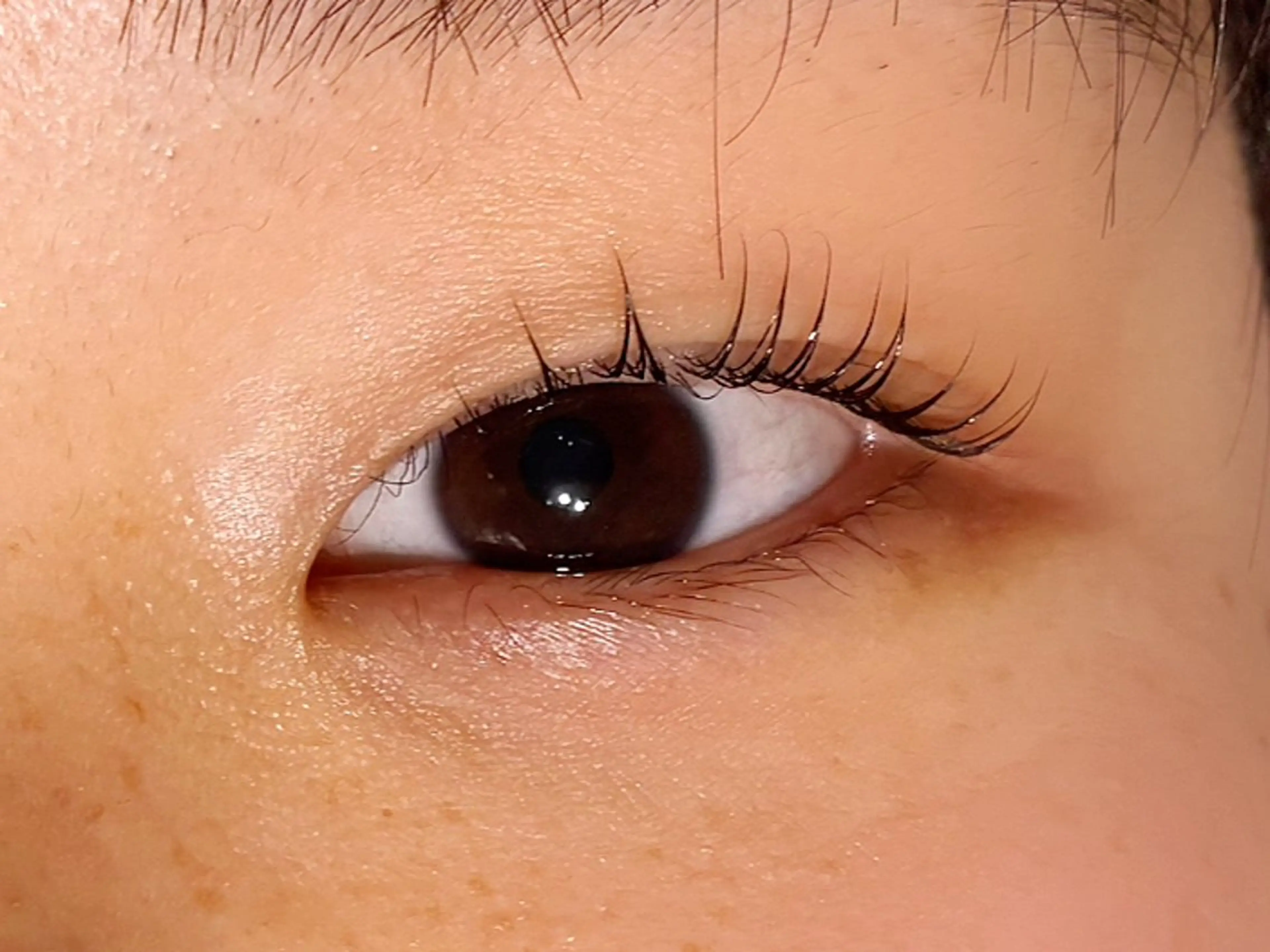 マツエク・マツパ マツパ 石川 菜月のマツエク・マツパデザイン