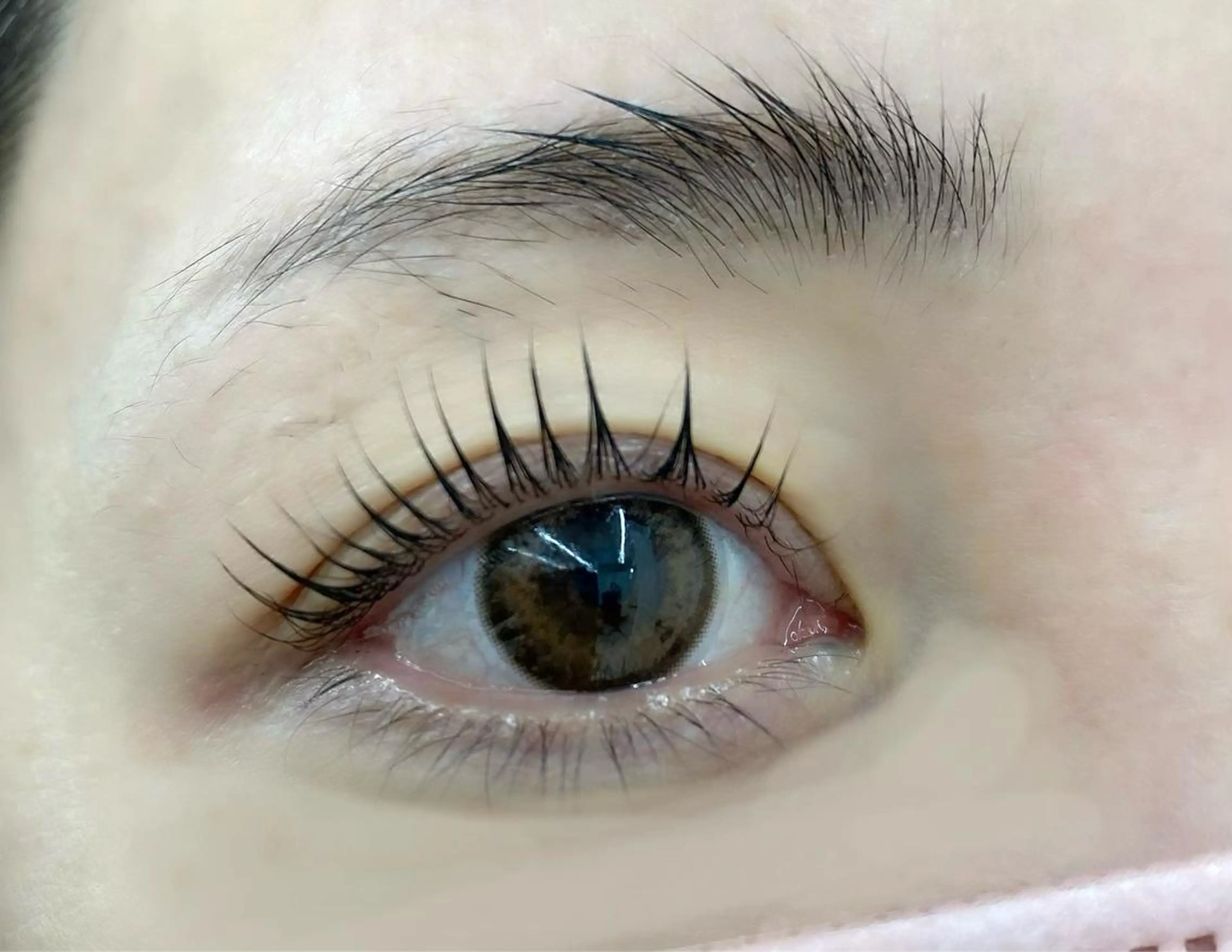 大流行🤍パリジェンヌラッシュリフト ♡ 平日限定♡の写真