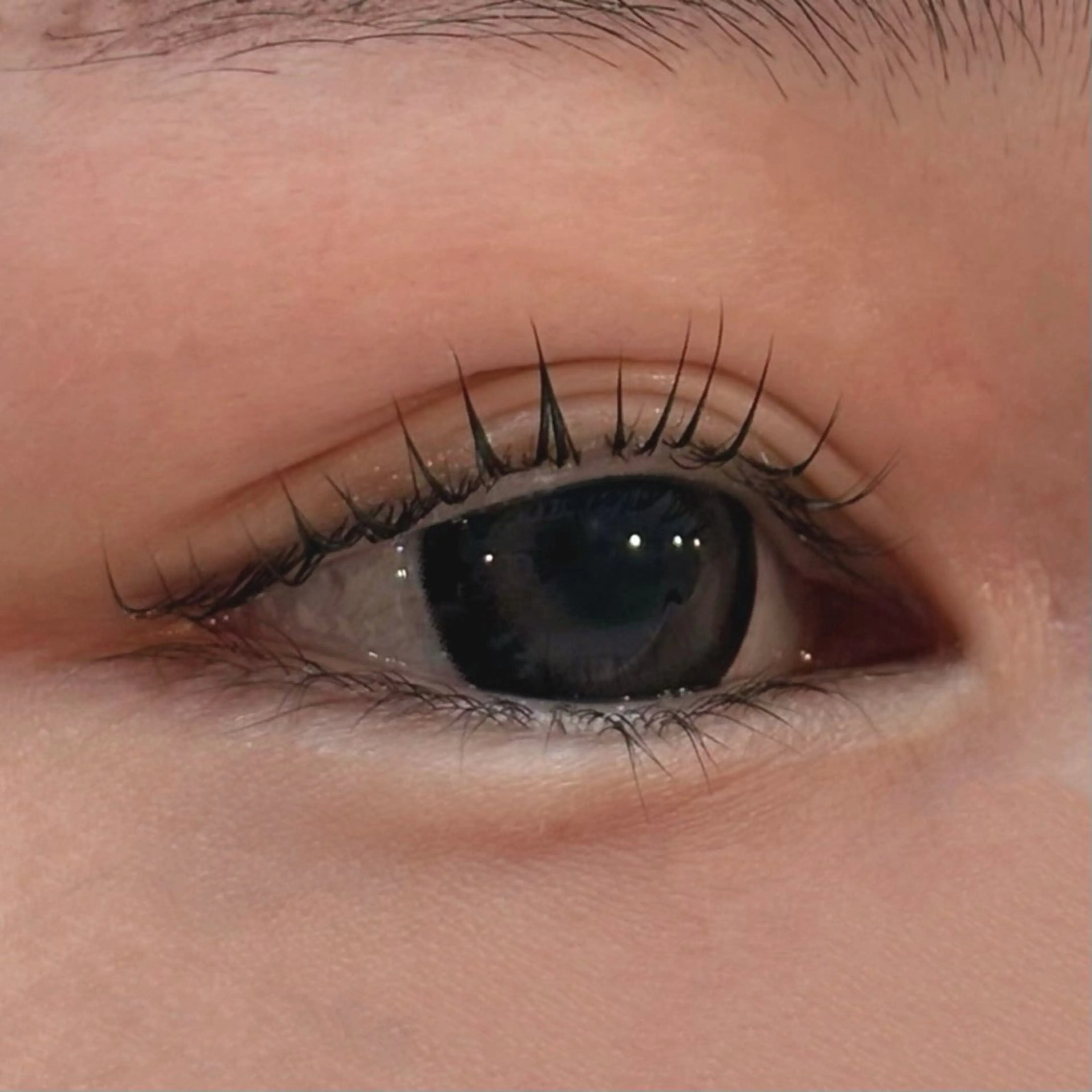 マツエク・マツパ MASAMI / 四条烏丸店のマツエク・マツパデザイン