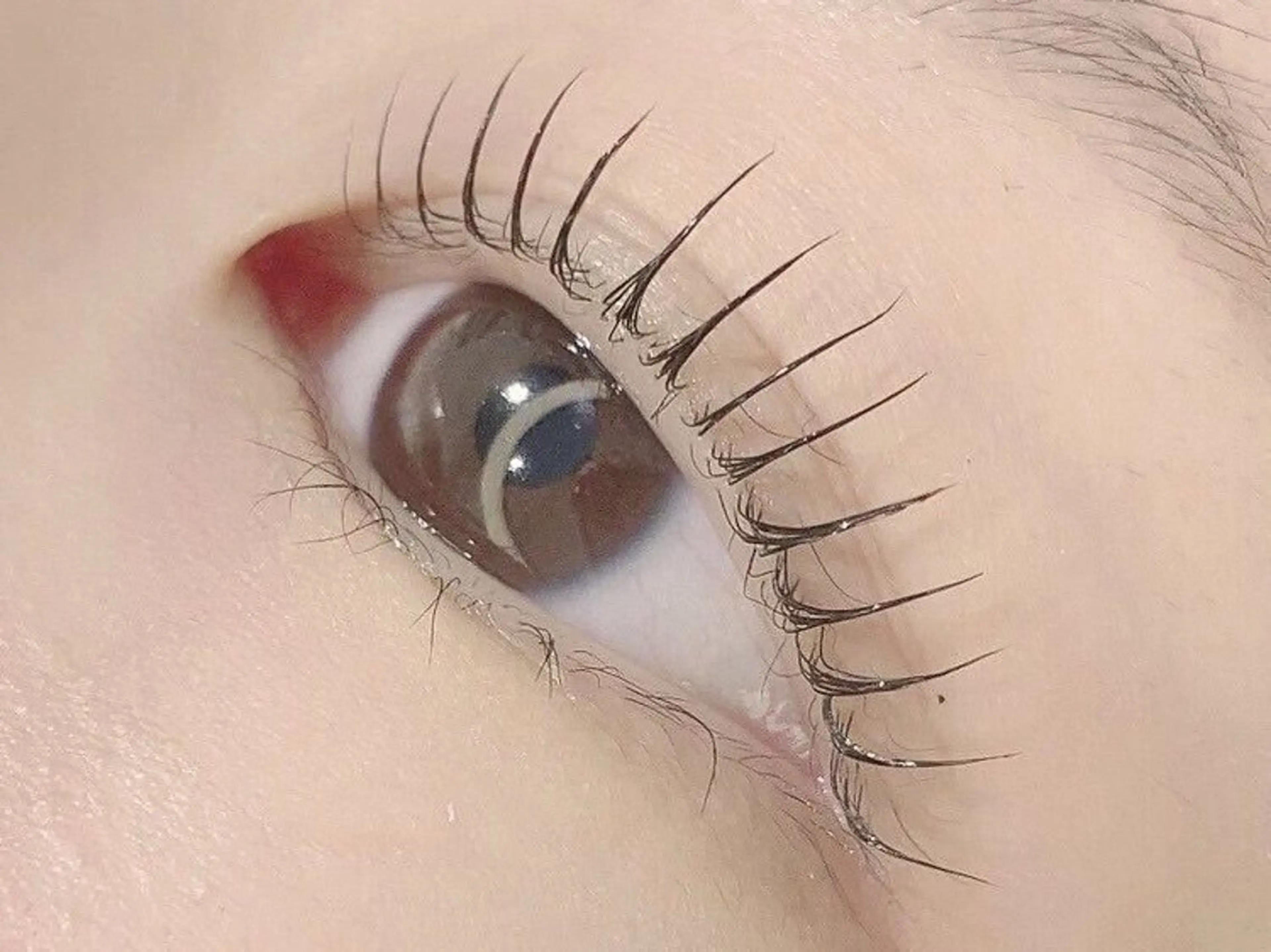 学割❣️似合わせまつ毛パーマ+束感コーティング🧴トリートメント付き🧴の写真