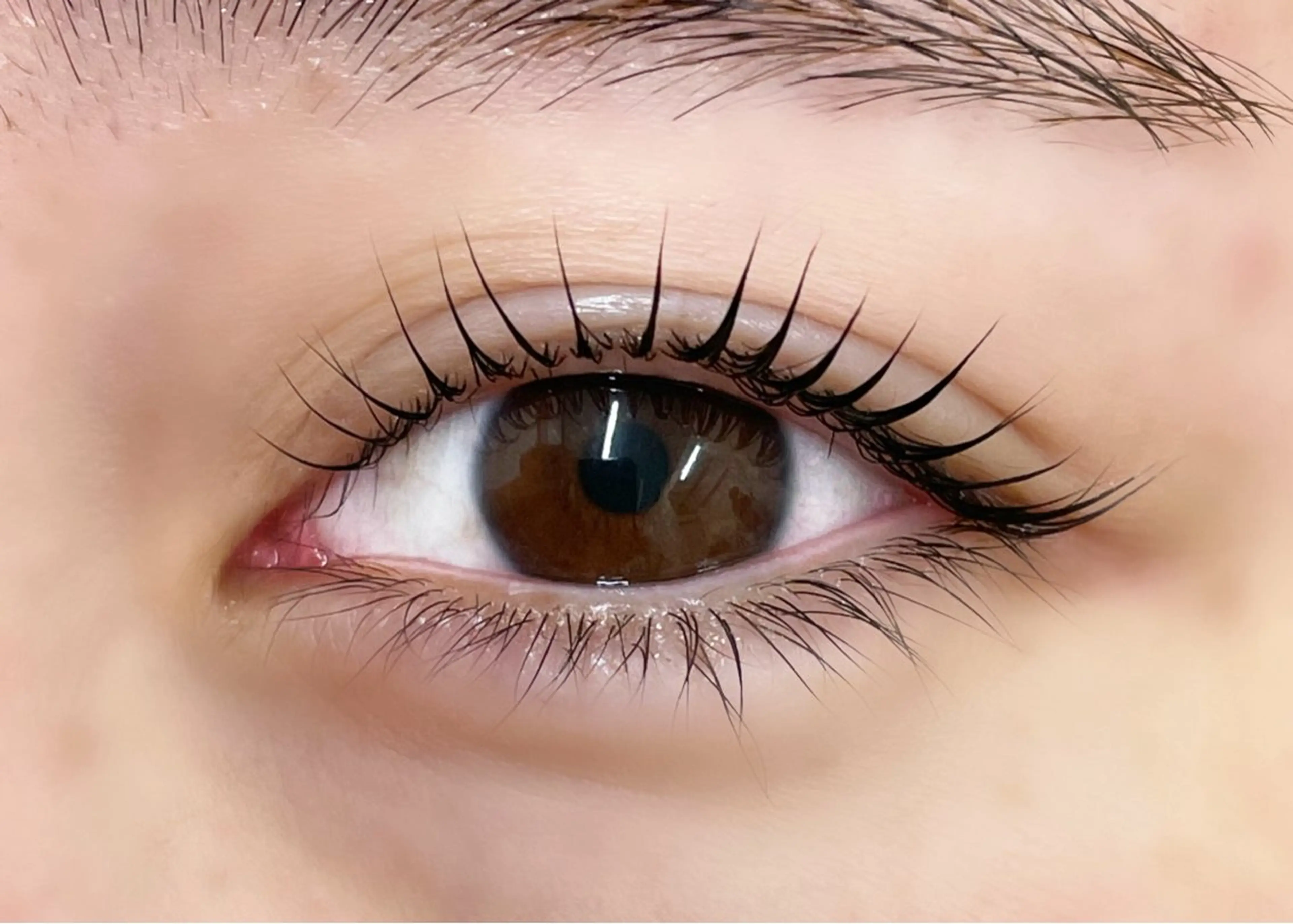 マツエク・マツパ 一重×まつ毛パーマ マツパ DOLL -eyelash-のマツエク・マツパデザイン