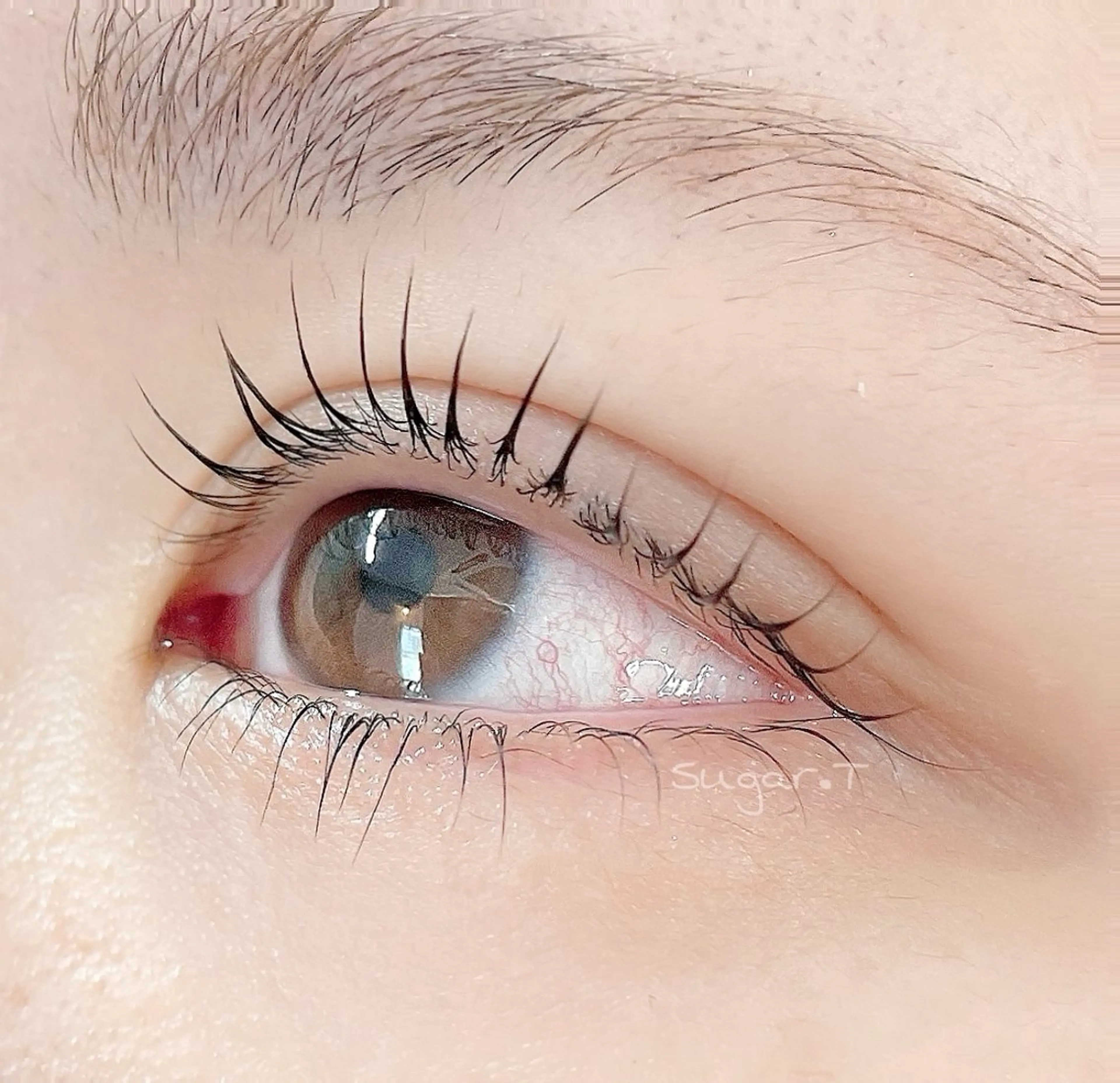 マツエク・マツパ Jカール ナチュラル sugar ただのマツエク・マツパデザイン