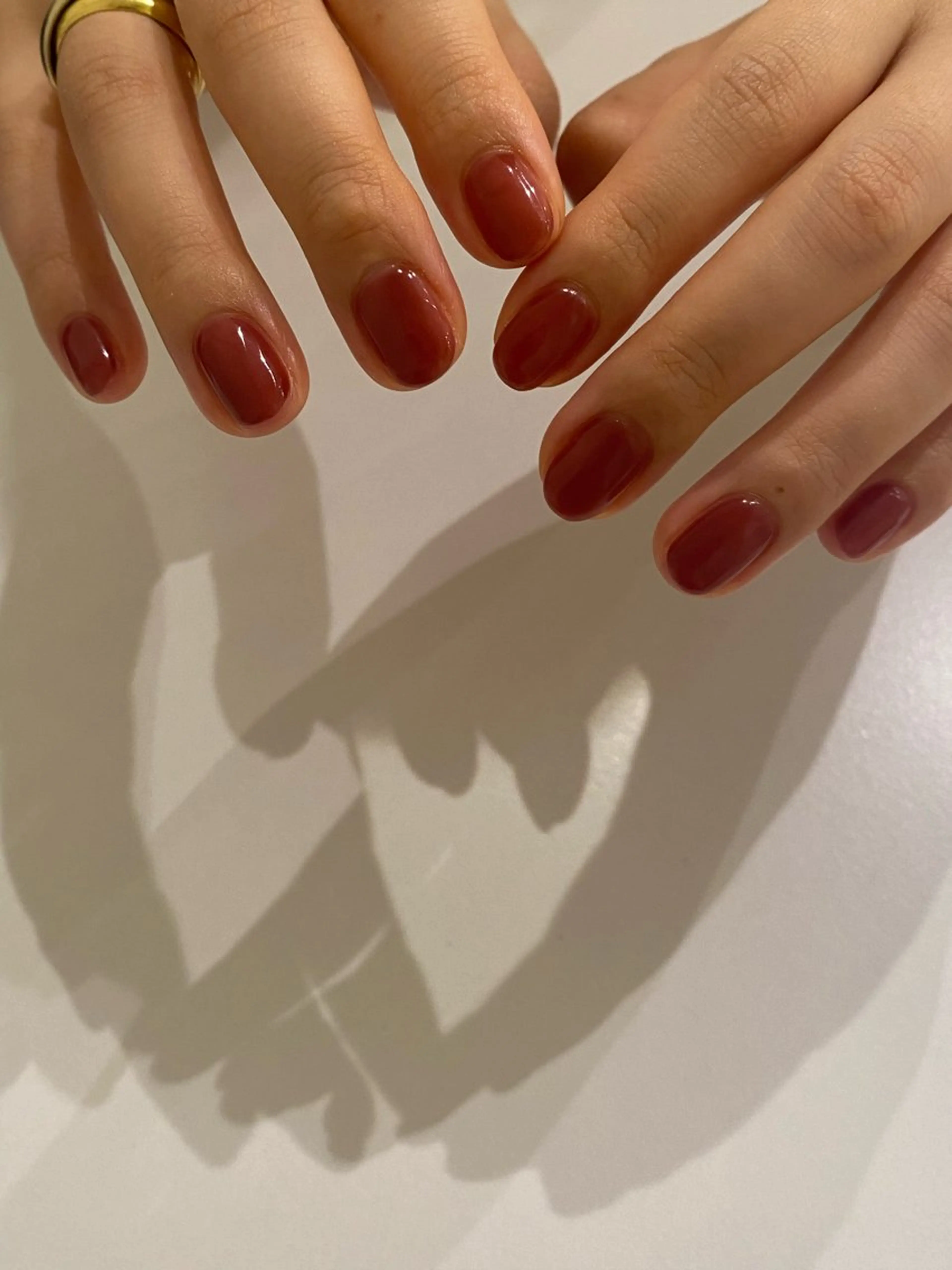 当日限定🍀ワンカラー(オフなし)の写真