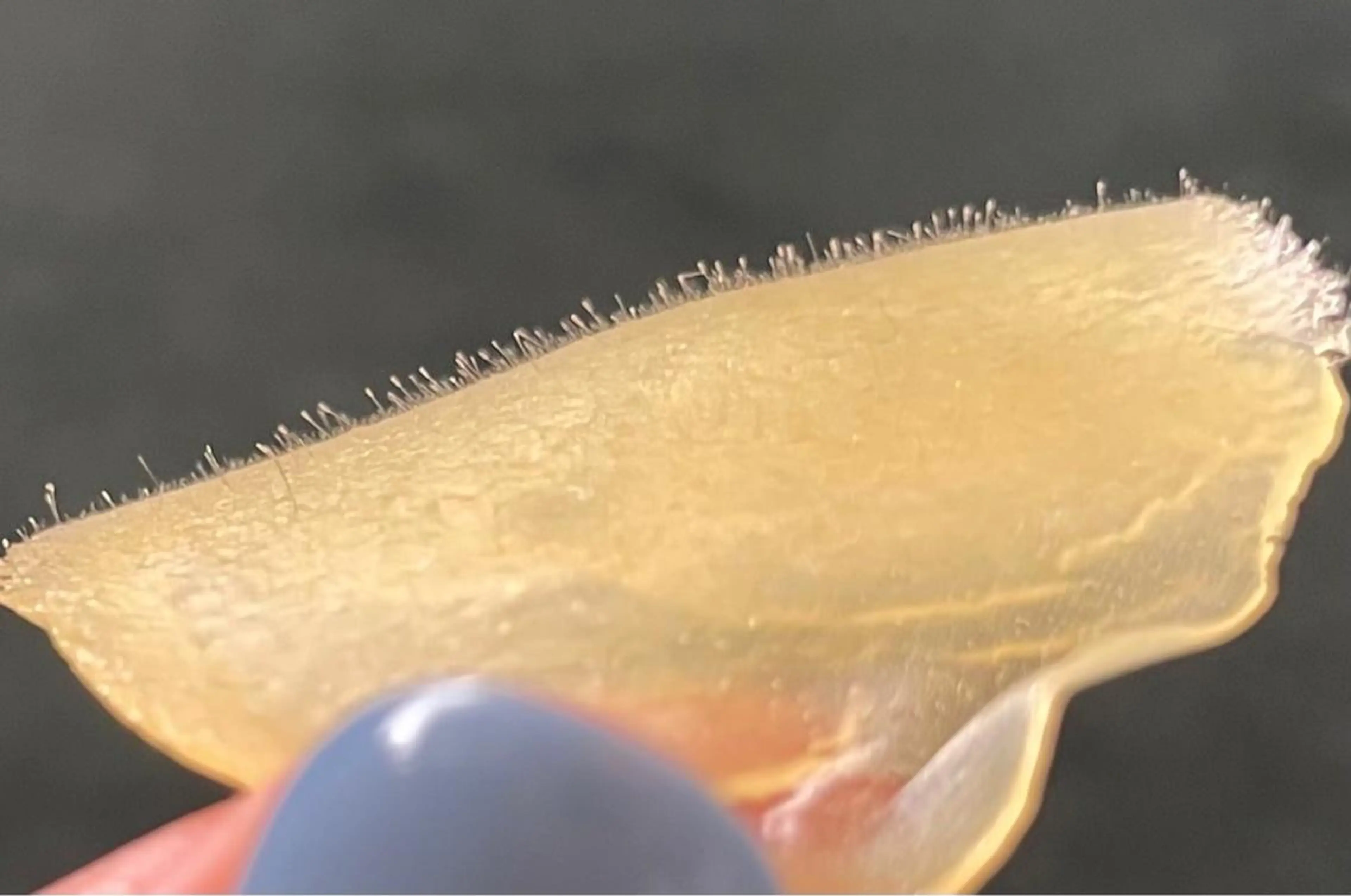 脱毛 エステサロン Mi-mi.iのエステ・リラクイメージ