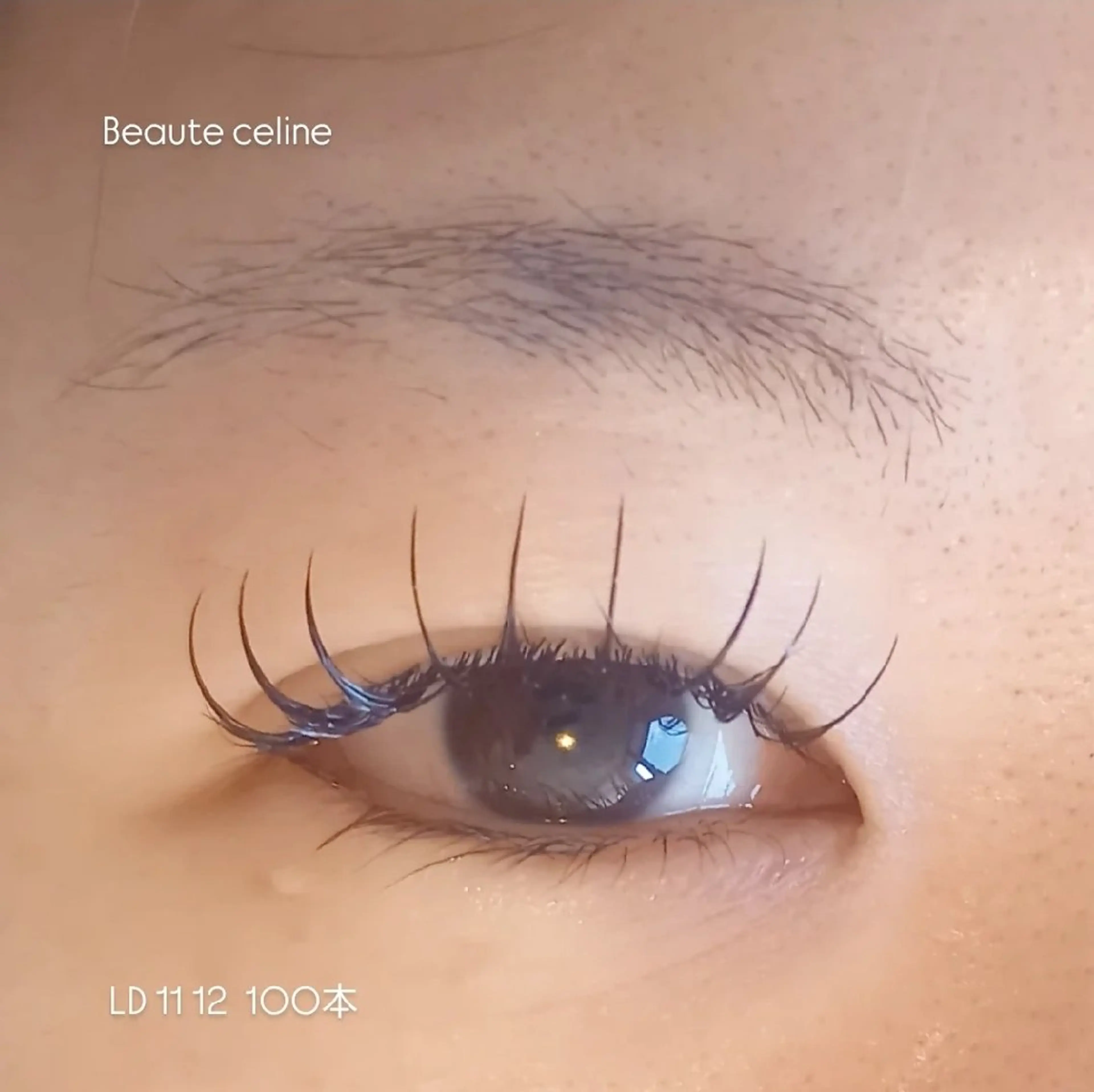 マツエク・マツパ Dカール マツエク 8時～✨beaute Celine🌛🌹のマツエク・マツパデザイン