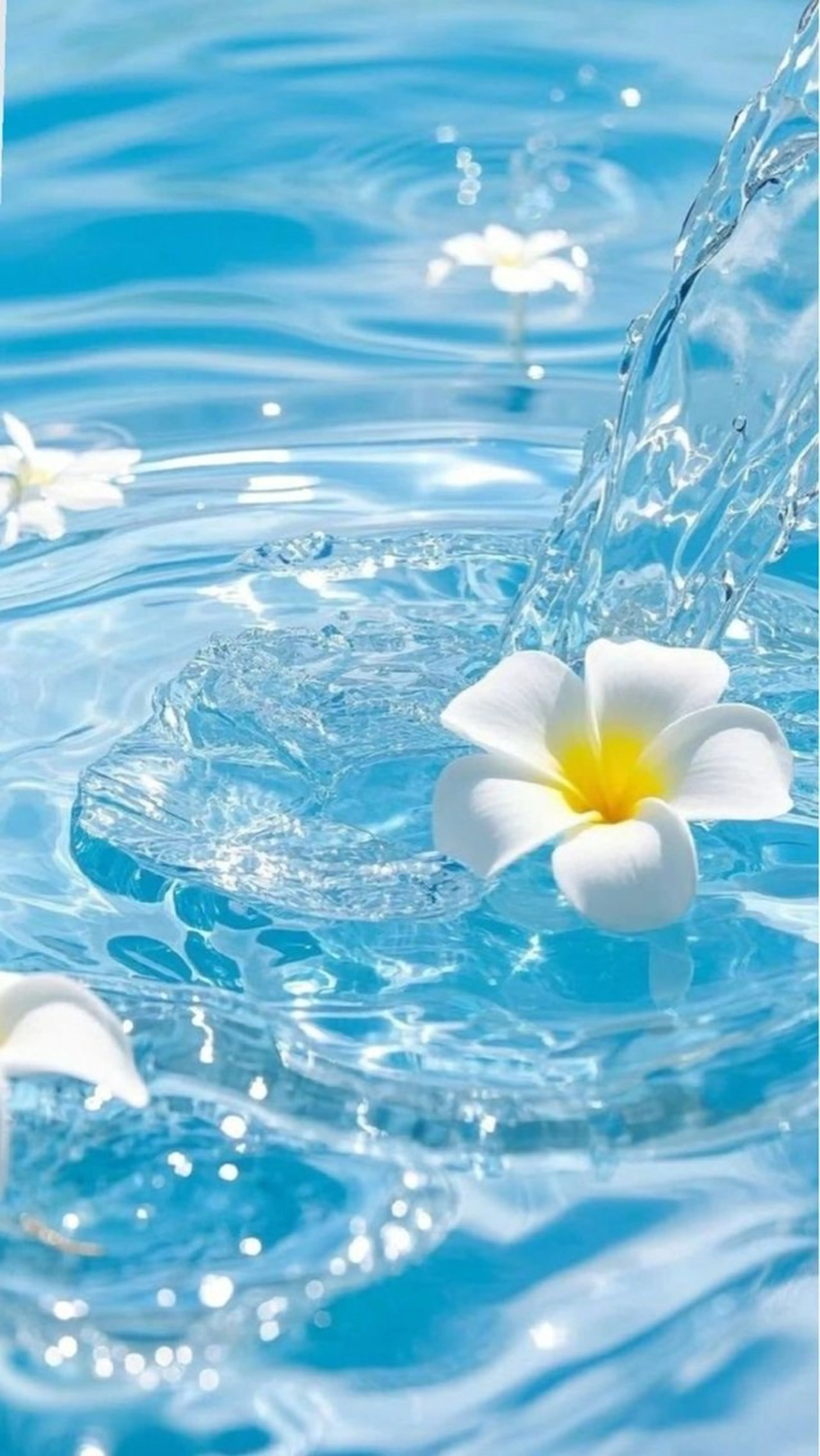 SUNNY 二俣川 yuri🌷のマツエク・マツパデザイン