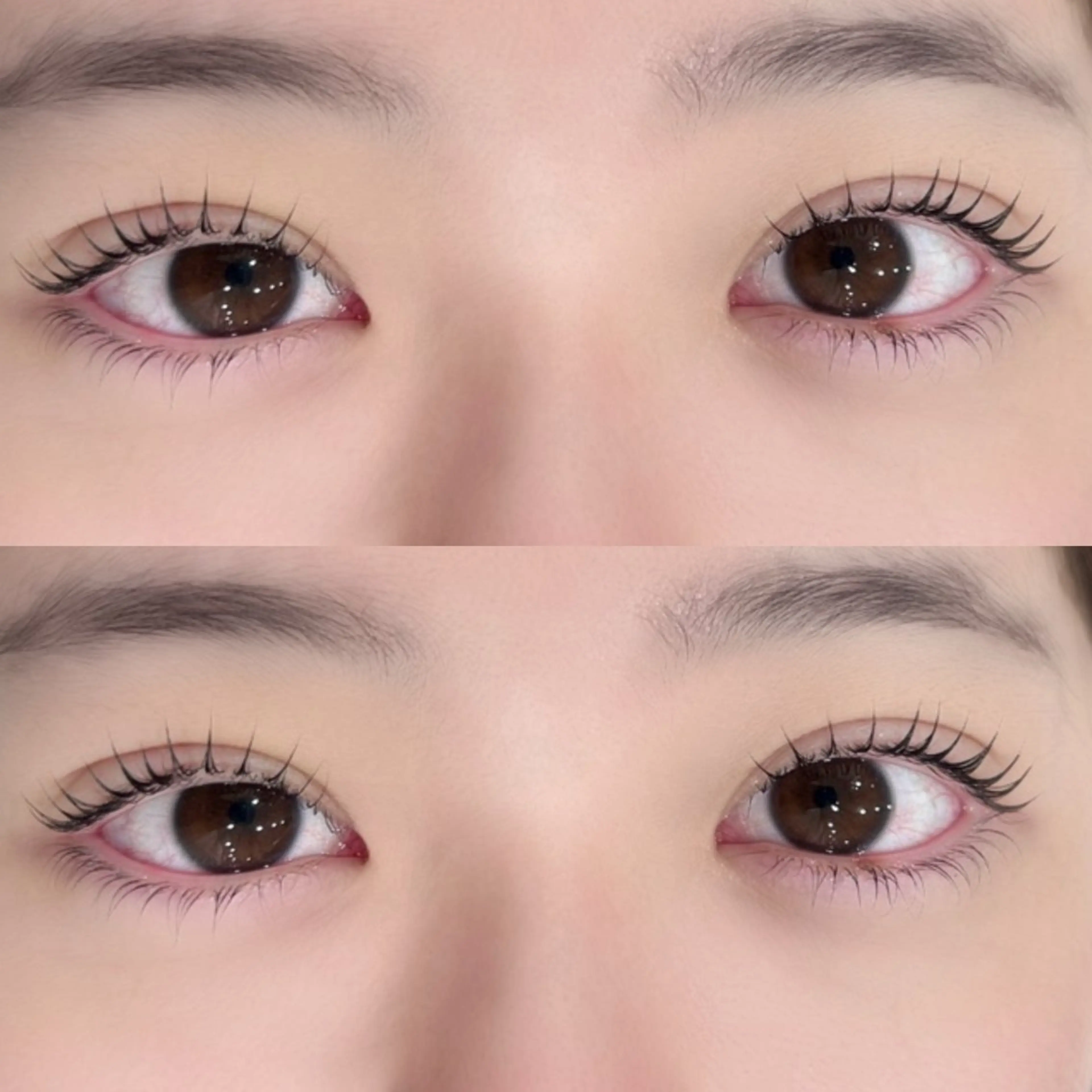 マツエク・マツパ マリーテレジア 🪽OKUMURAのマツエク・マツパデザイン