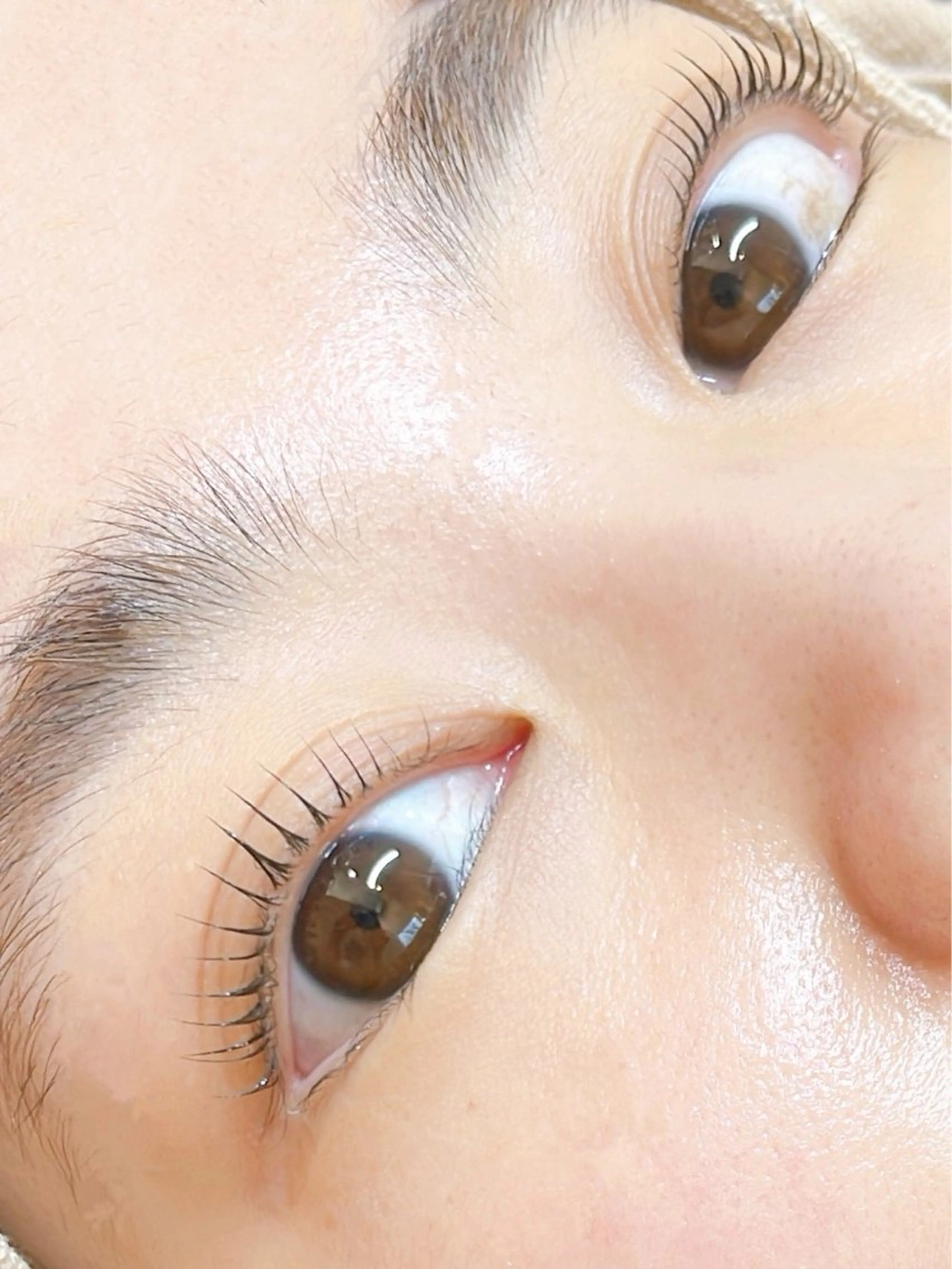 マツエク・マツパ マツパ コルフロウ アイモデル募集中の眉毛・アイブロウイメージ