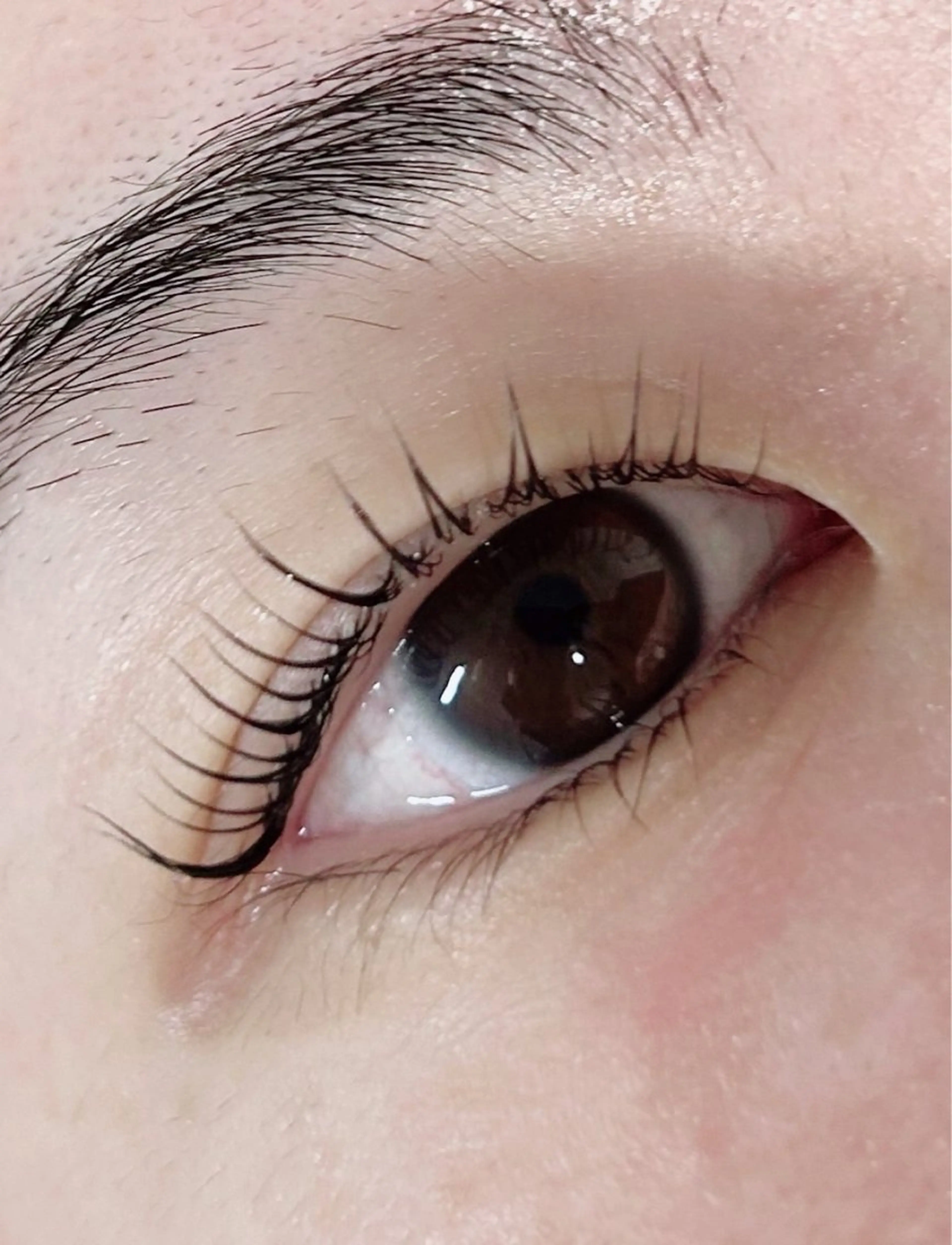 マツエク・マツパ マツパ Lily NAOMIのマツエク・マツパデザイン