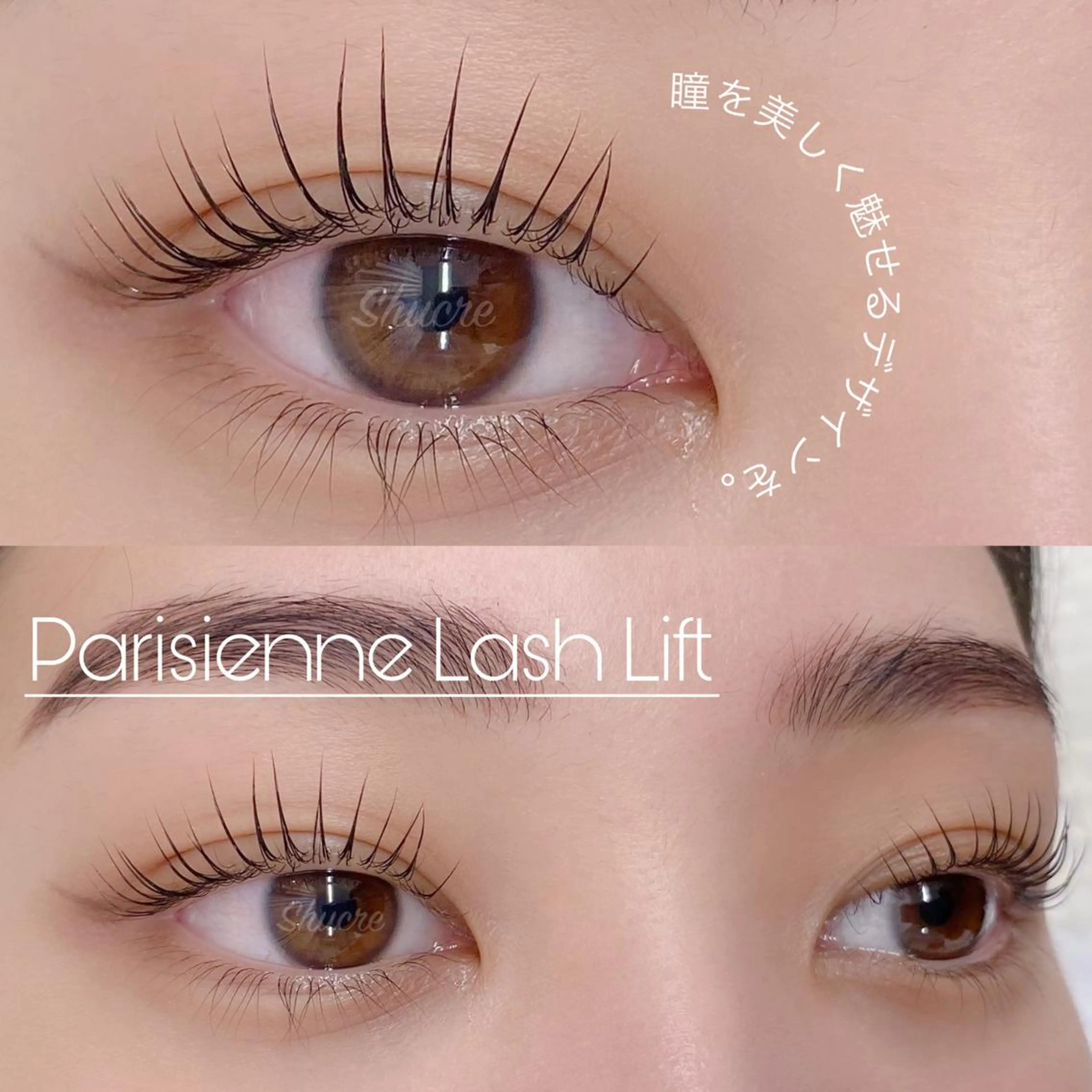 マツエク・マツパ Shucre栄店🤍 Rikaのマツエク・マツパデザイン