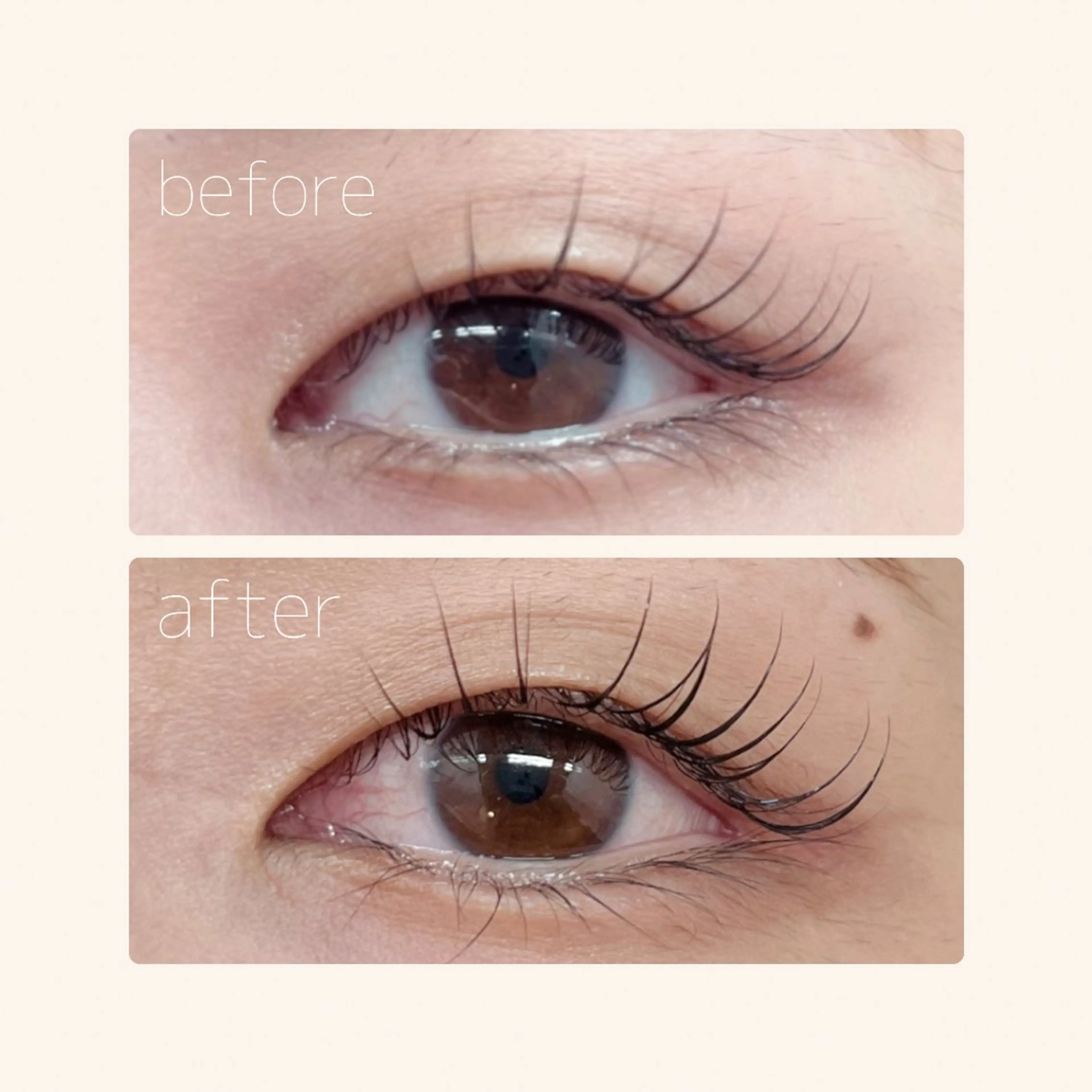 垢抜け眉/肌管理 mayumi🍐のマツエク・マツパデザイン