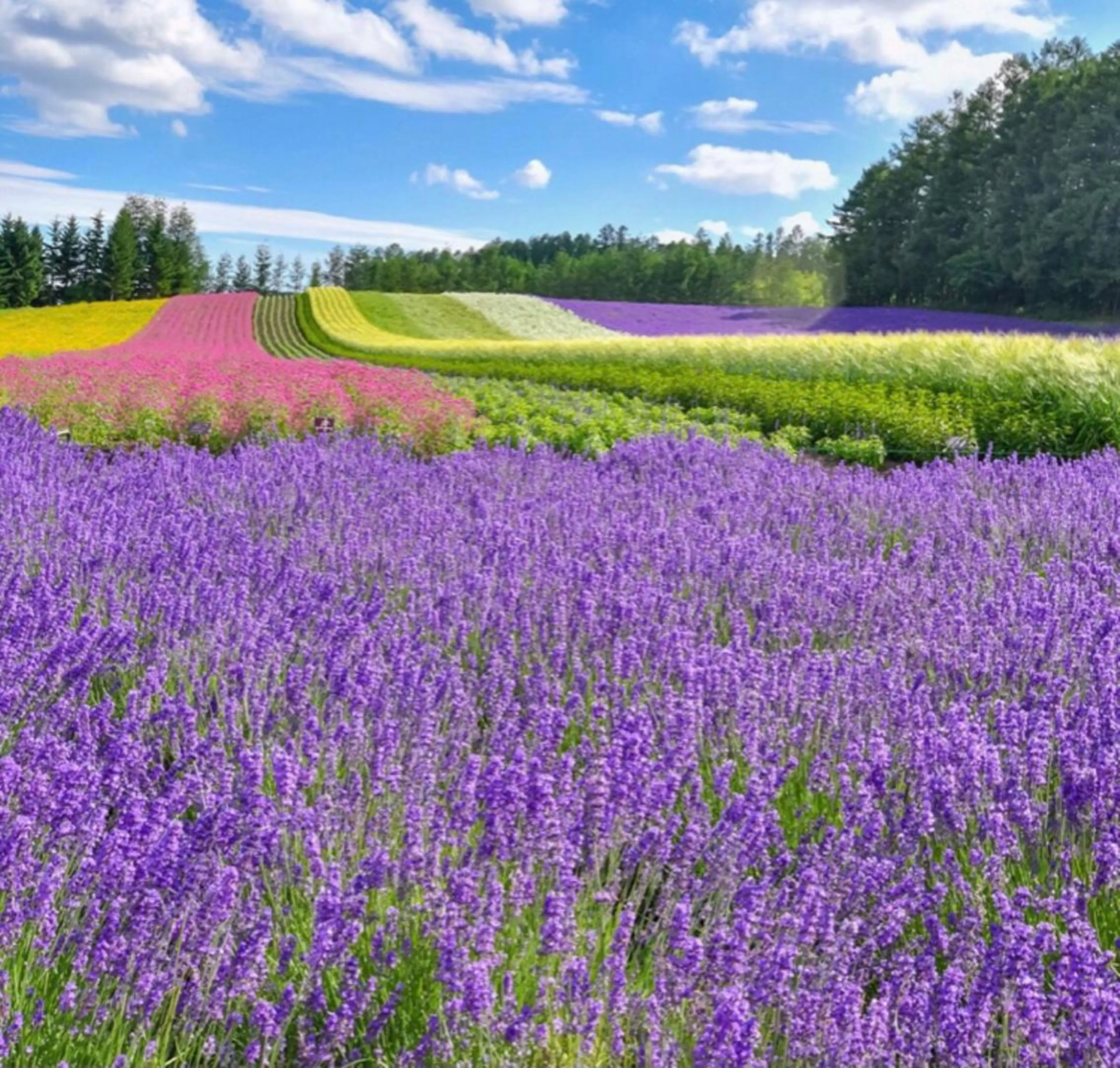 【30分】❤️‍🩹誰にも言えない、相談できない。そんなお悩みを聞きます。話を聞いてほしい。※電話、ライン、での対応可の写真