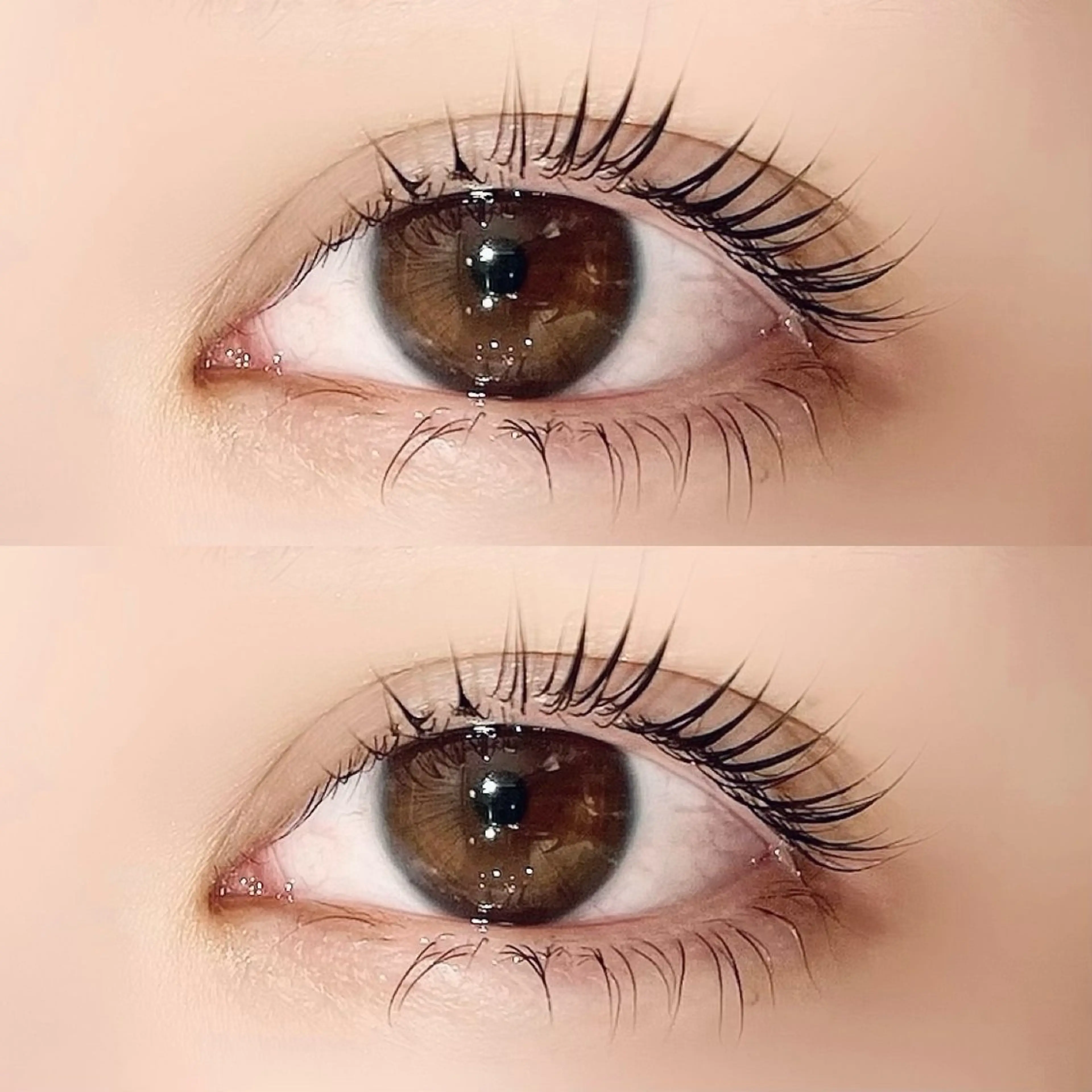 【ミニモ限定】🪄ラッシュリフト🍨(パリジェンヌ含む)➕コーティング仕上げ🫧の写真