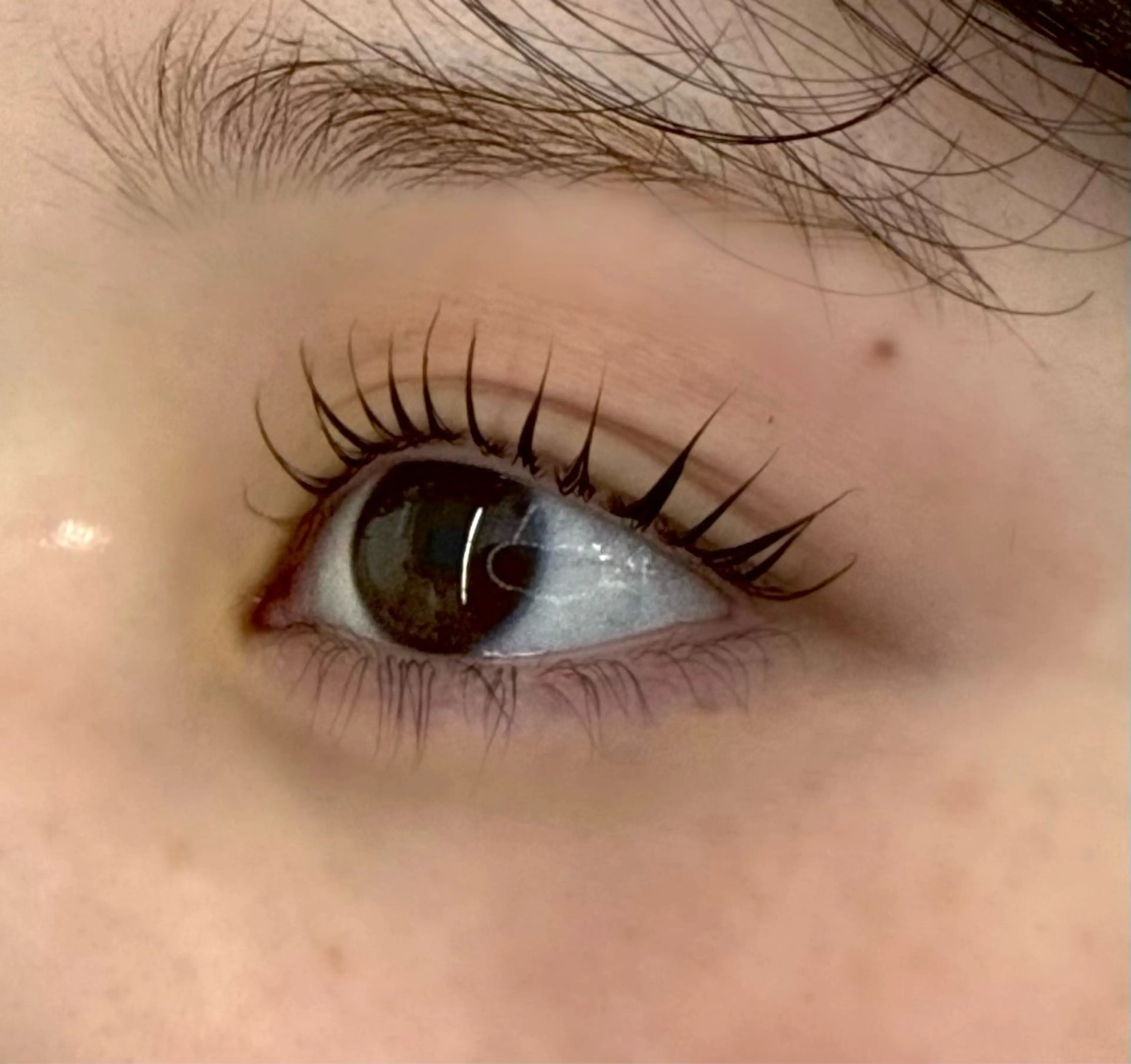 【初回¥2200】自然に盛れるまつげパーマ🤍コーティング仕上げの写真