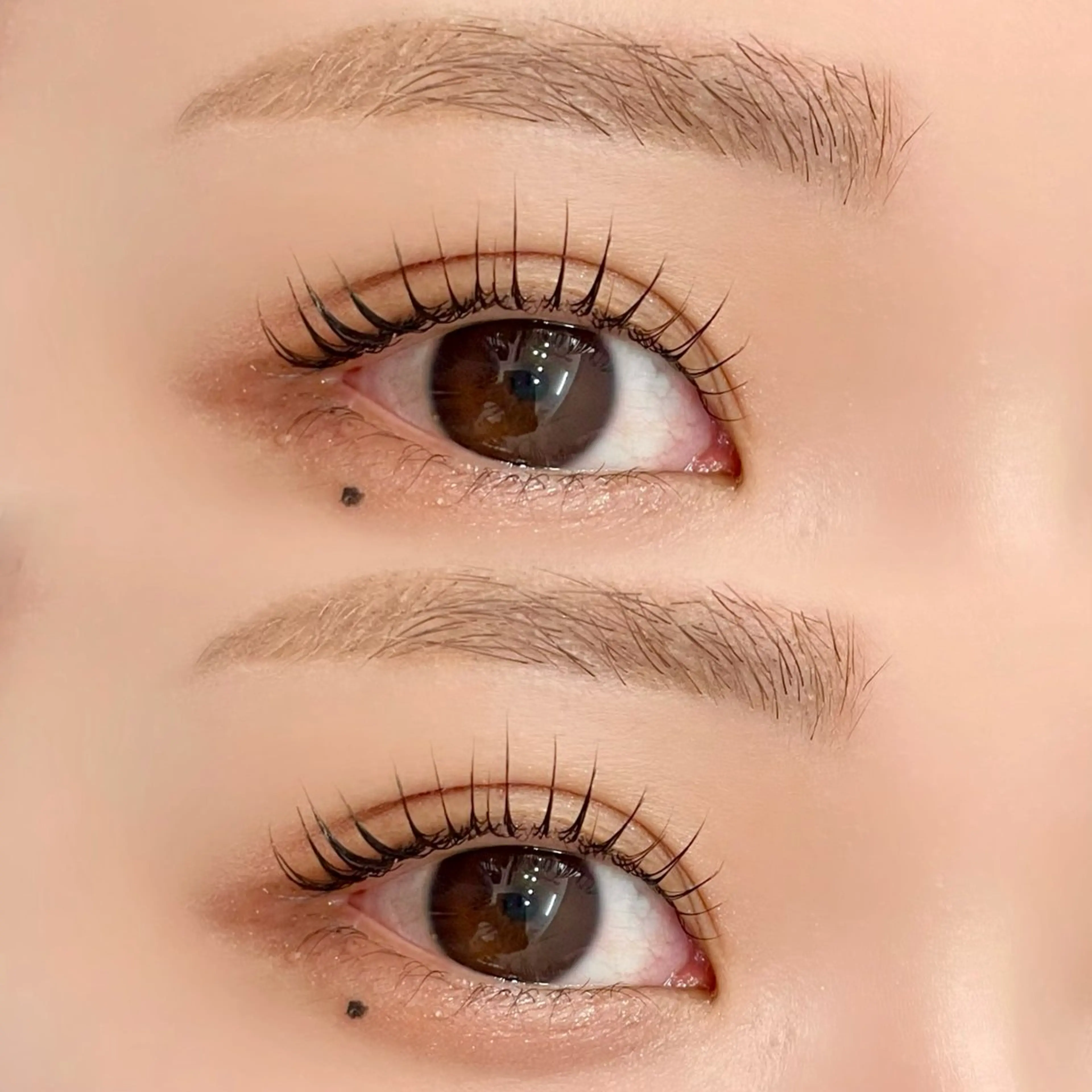 3回目まで可能‼️次世代まつげパーマ👀✨➕眉毛ワックススタイリング《wax+間引き》の写真