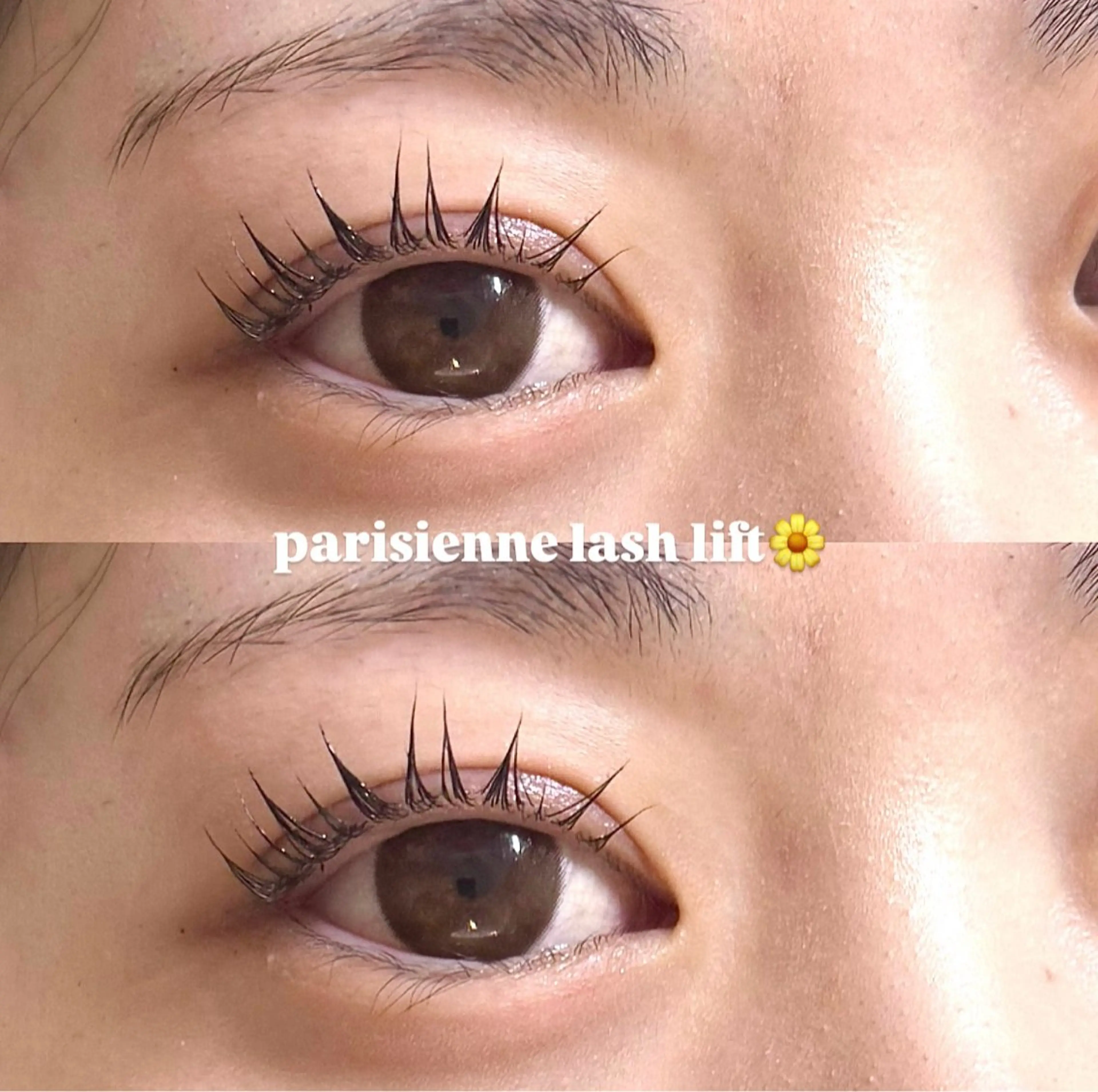 マツエク・マツパ マツパ オヤユビヒメ 新田辺店のマツエク・マツパデザイン