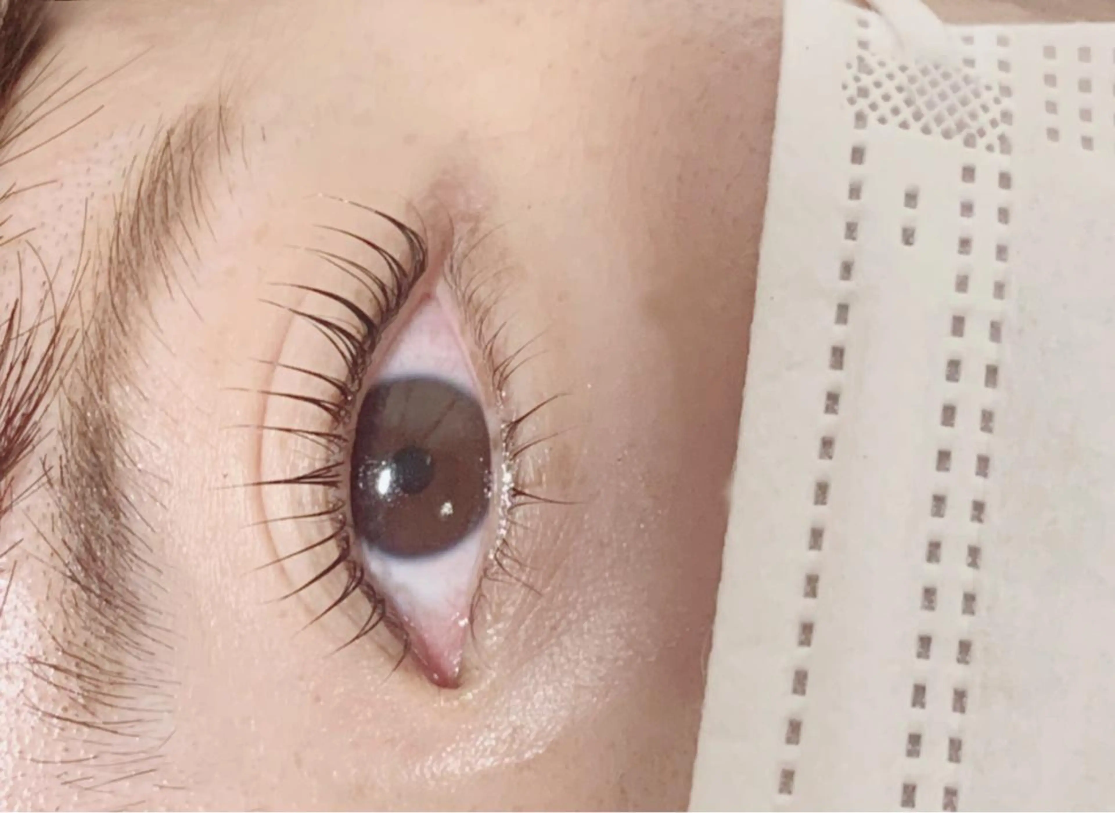 マツエク・マツパ パリジェンヌラッシュリフト 豊田 有香のマツエク・マツパデザイン