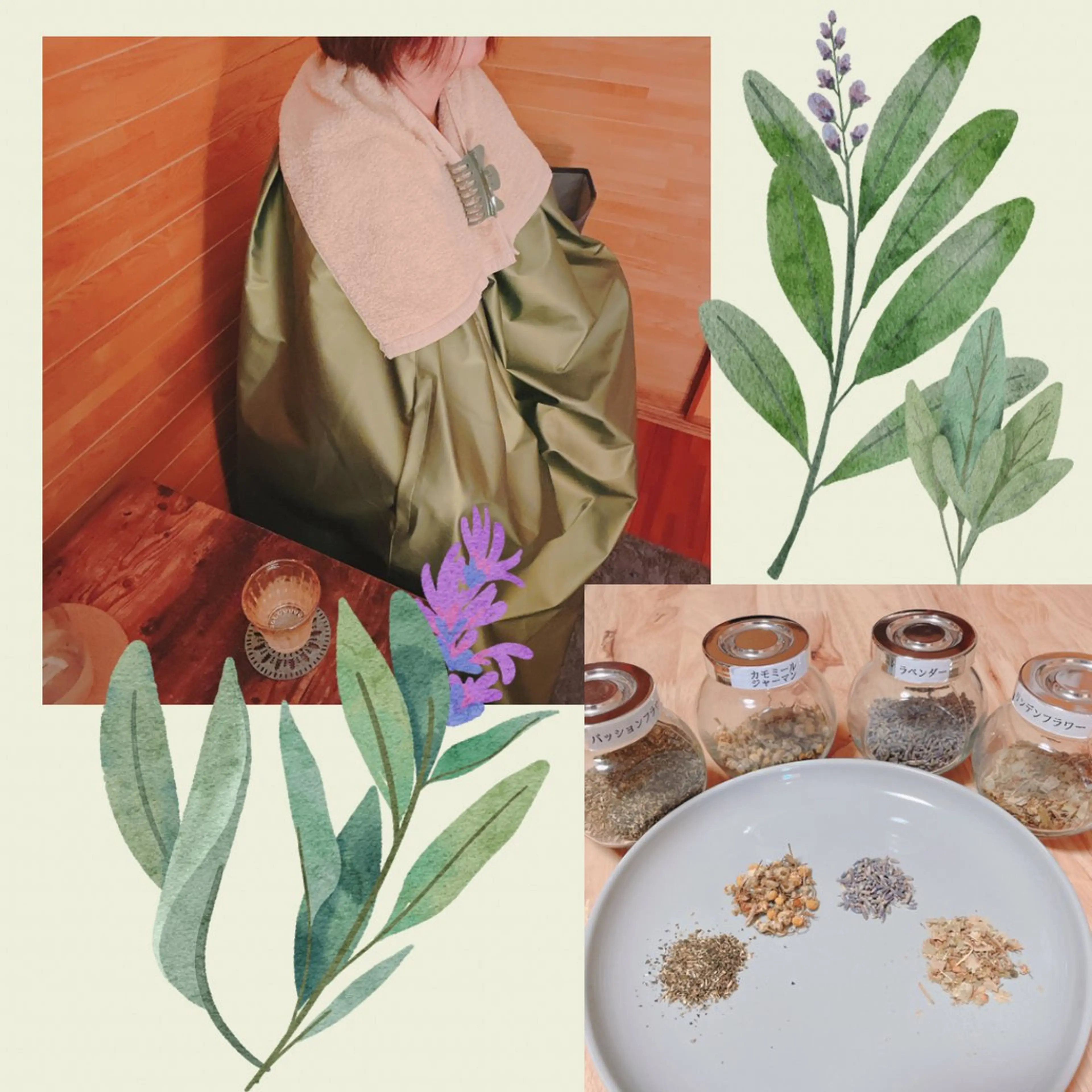 【初回限定】汗を出せ出せよもぎ蒸しの写真