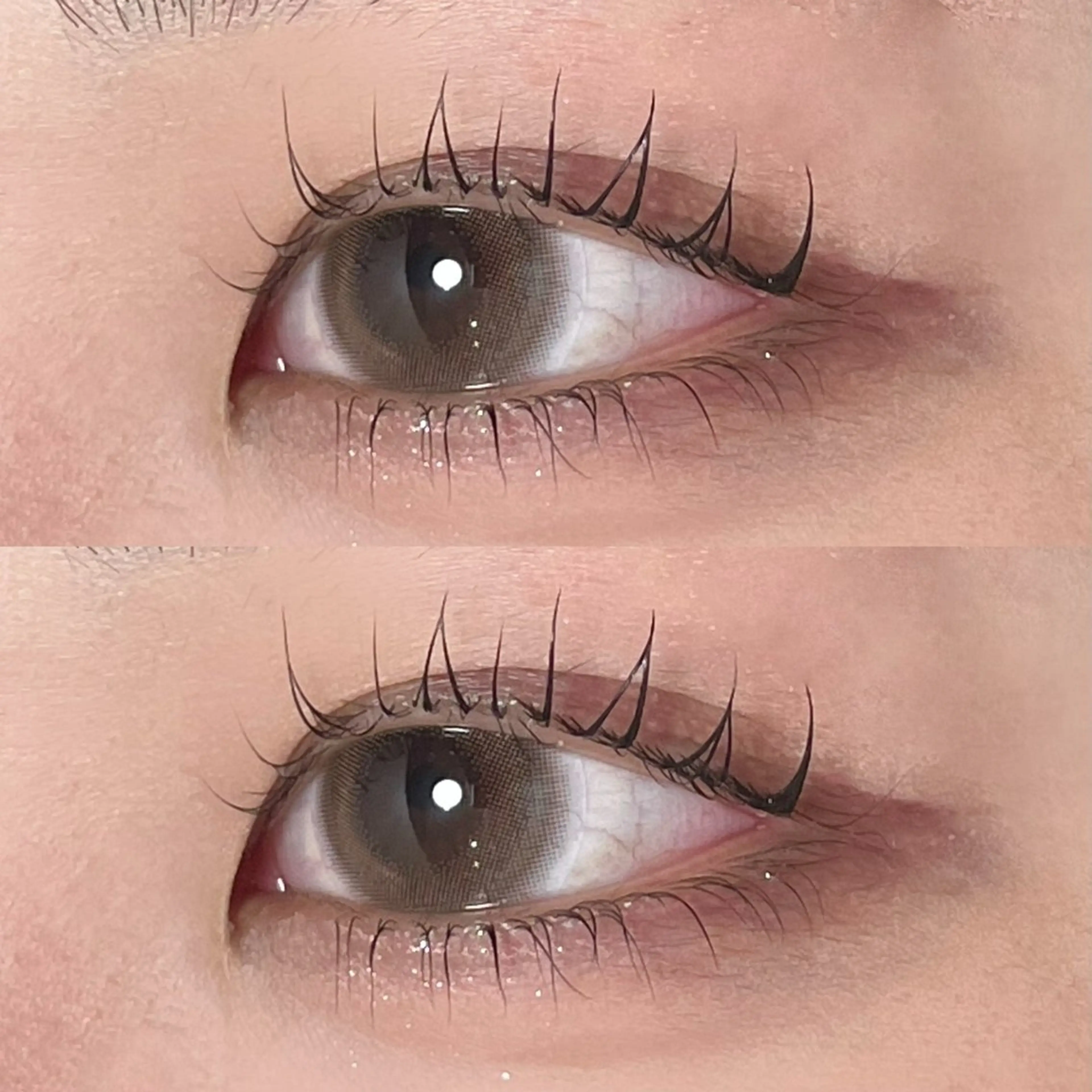 上下まつげパーマ🐱🫐【初回​〜​3回目まで】の写真